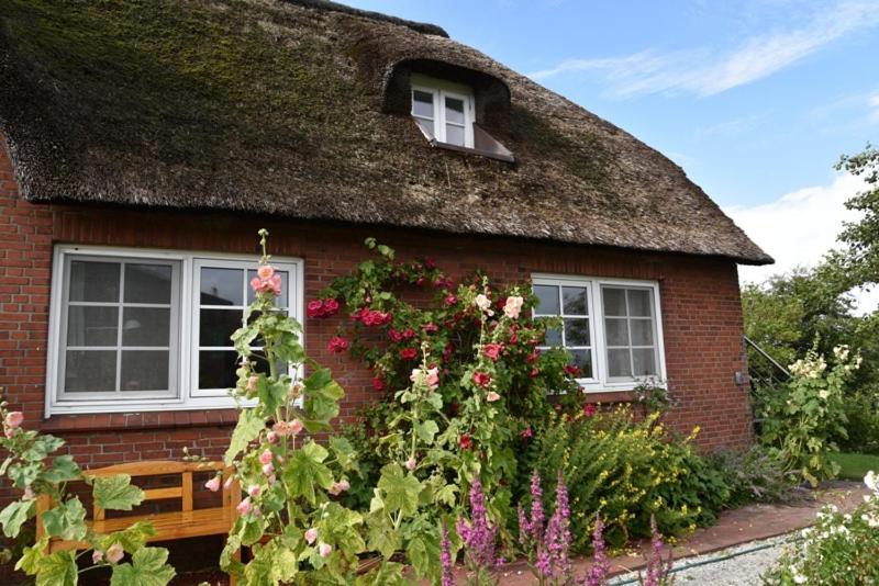 Ferienhaus Tammwarfthuus