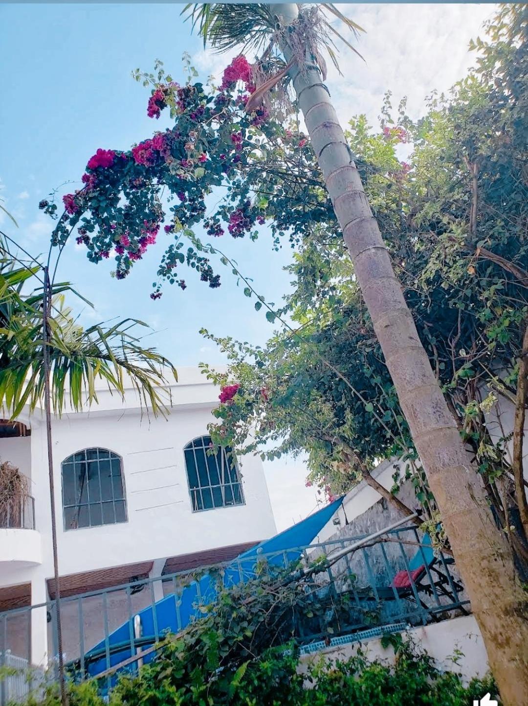 Appartement 1e Chambre - Résidence avec Piscine