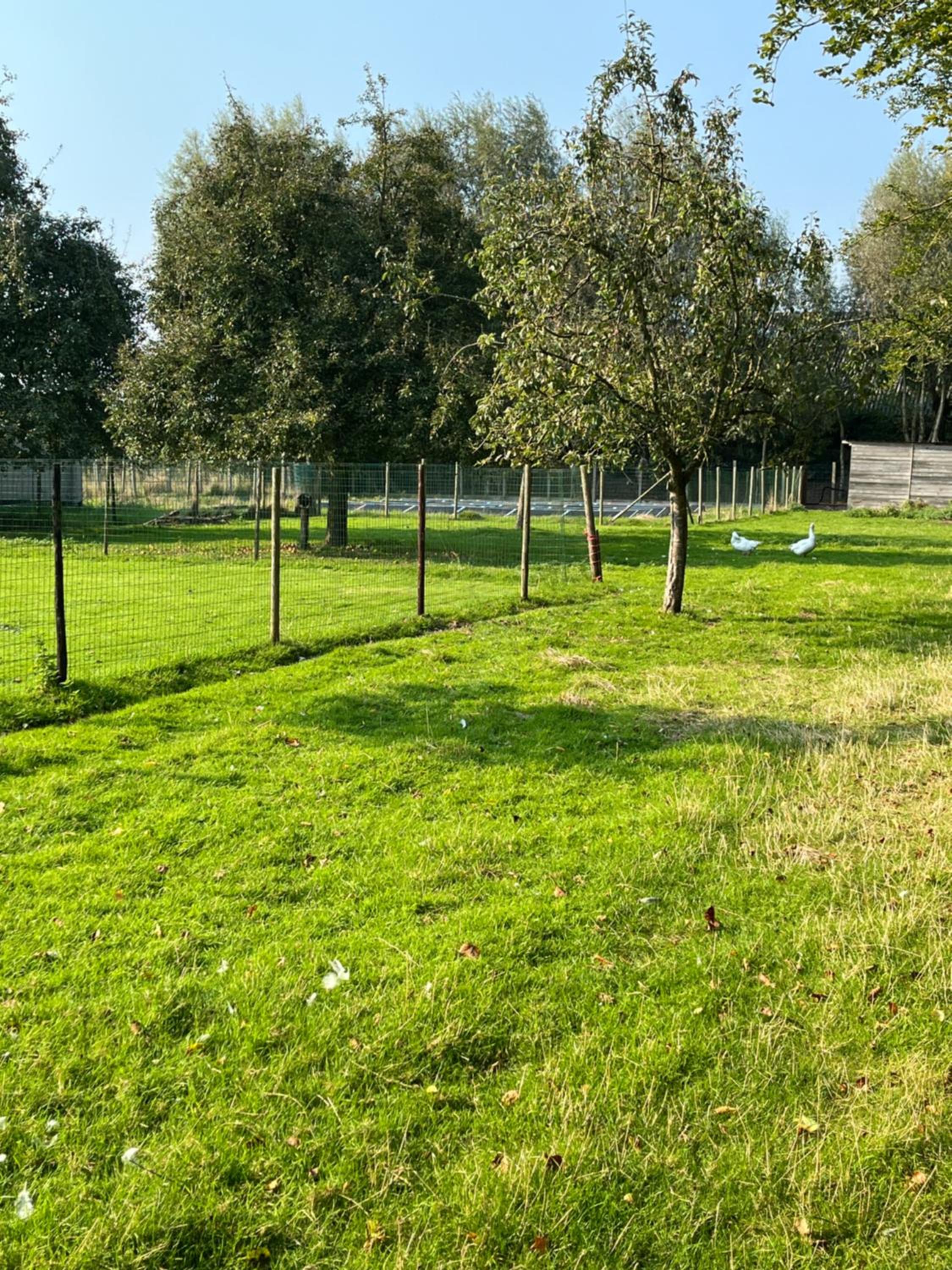 Wildenburgs klaverhuisje