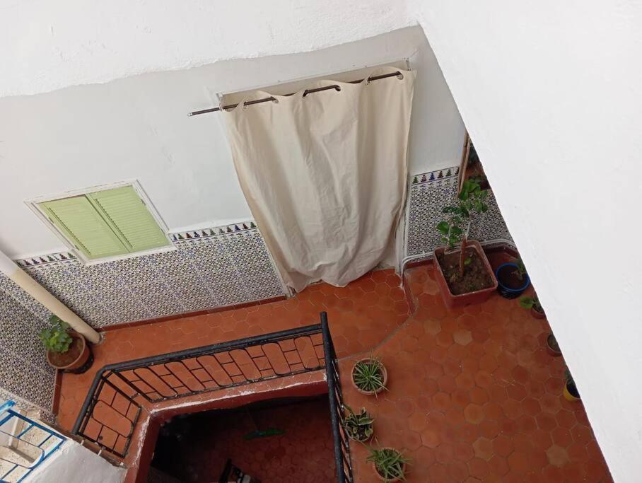 La maison des oiseaux