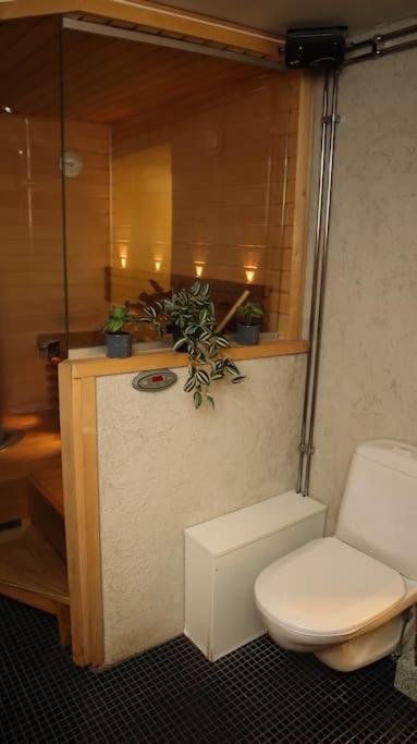 Kotikaksio Penthouse