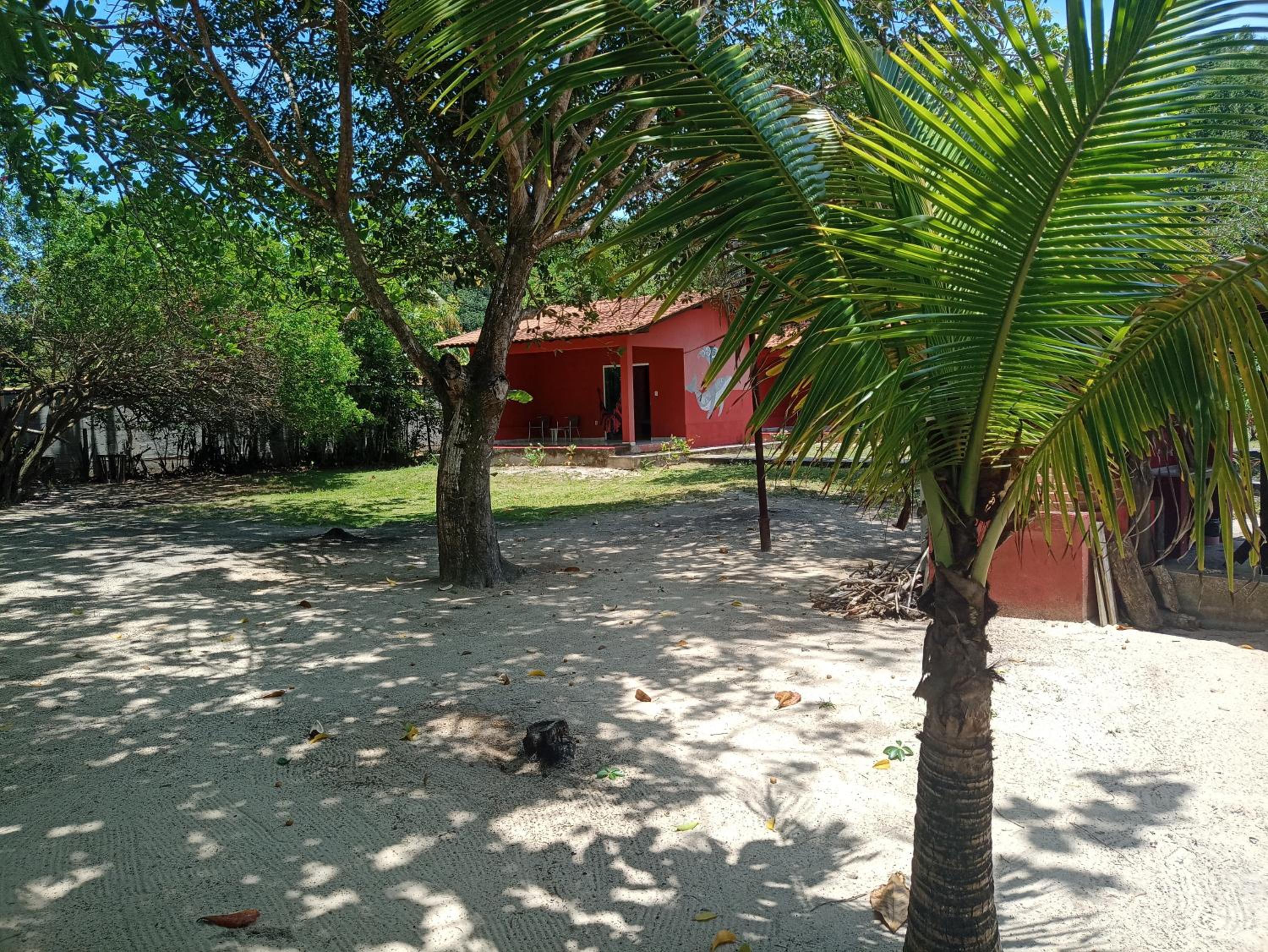Photo 38