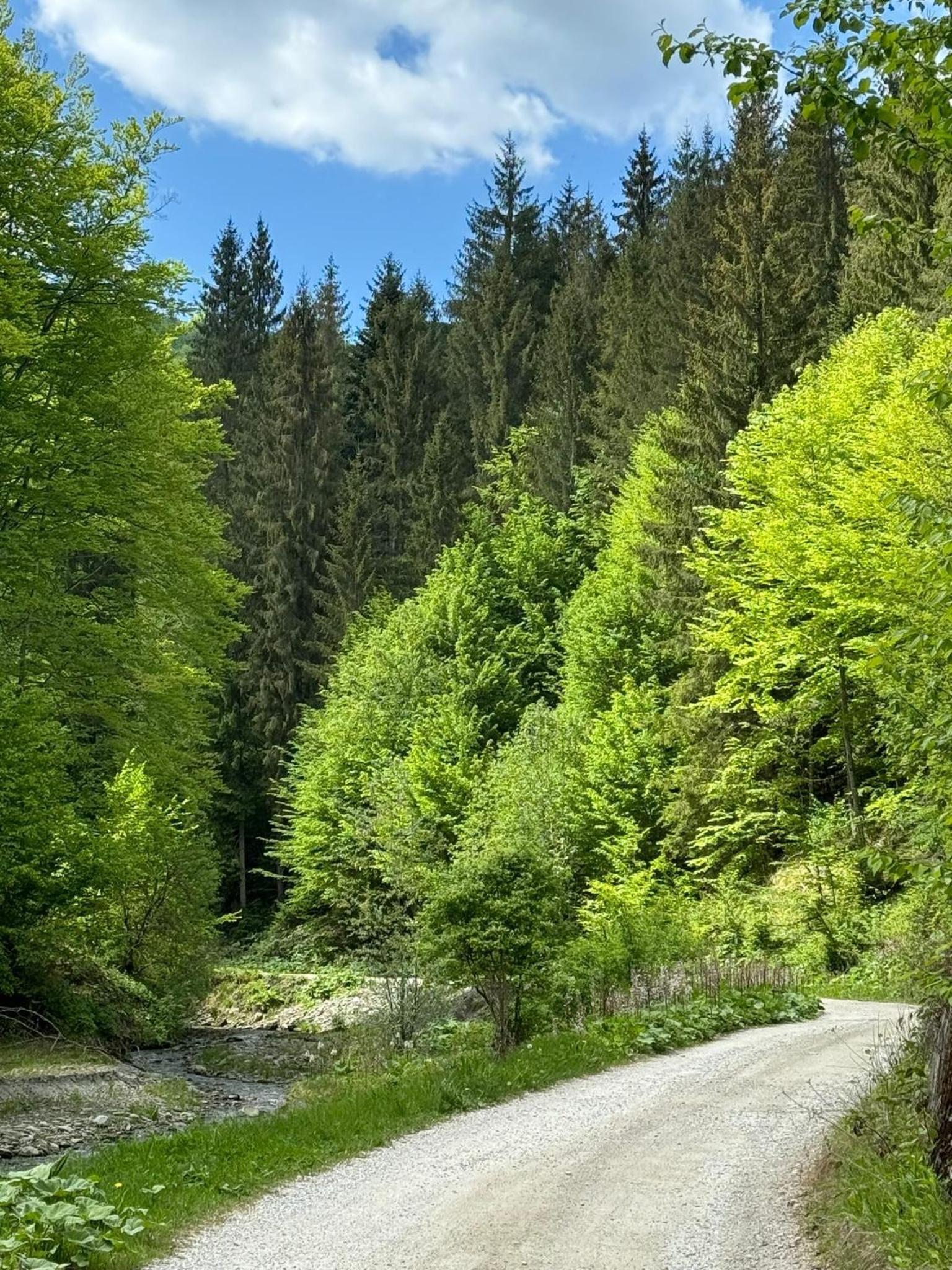 Cabana dintre Văi view 3
