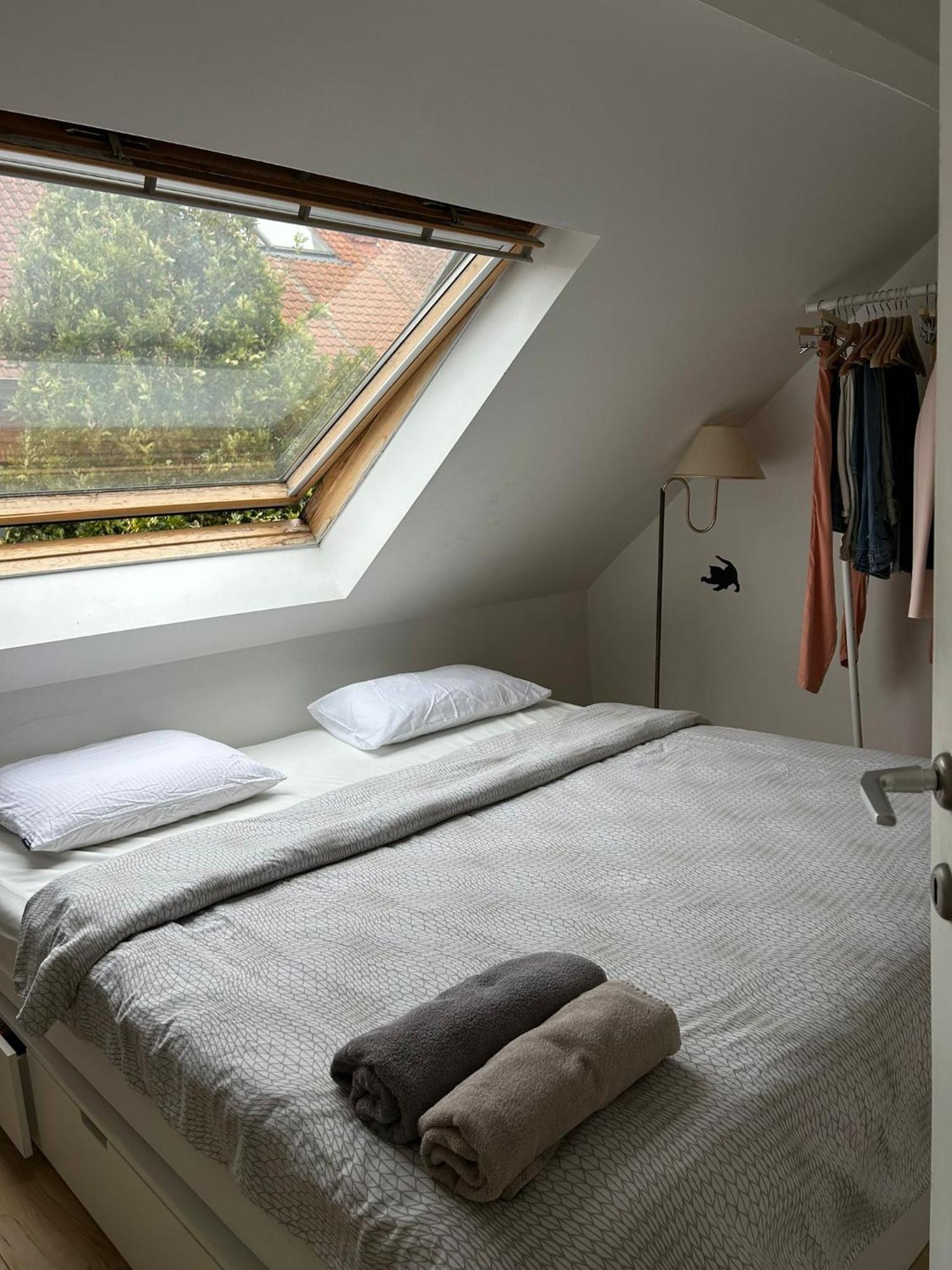 Lightful architectural house