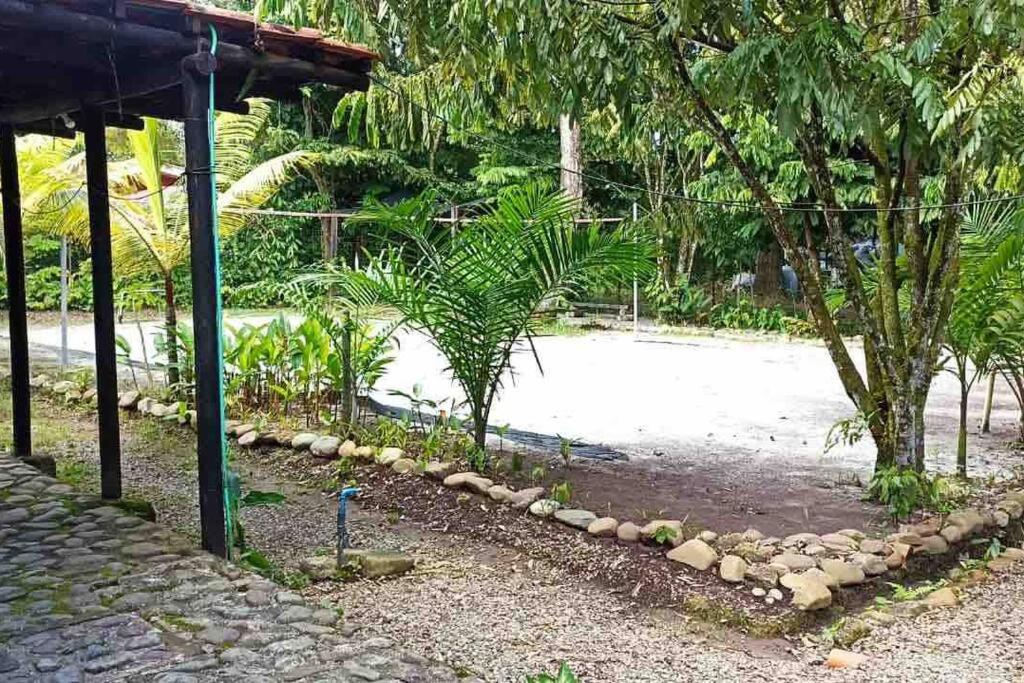 Relájate en el llano Piscina privada y naturaleza
