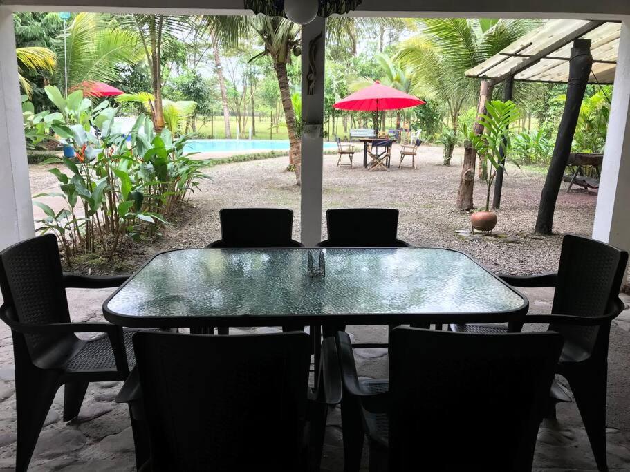 Relájate en el llano Piscina privada y naturaleza