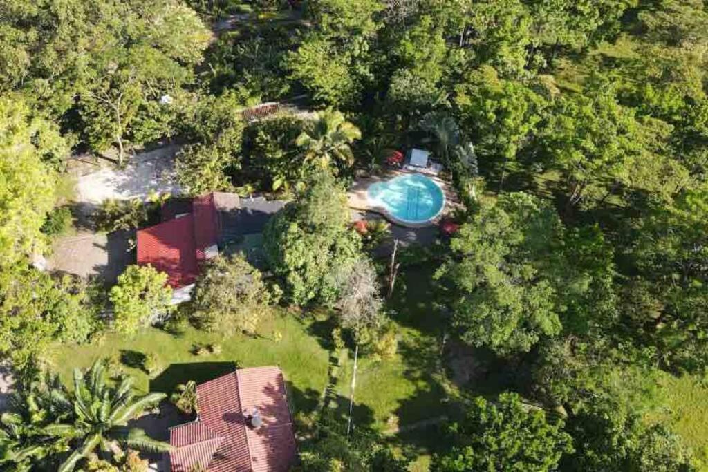Relájate en el llano Piscina privada y naturaleza