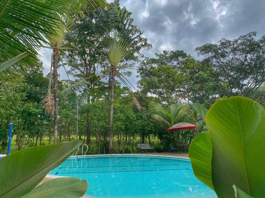 Relájate en el llano Piscina privada y naturaleza
