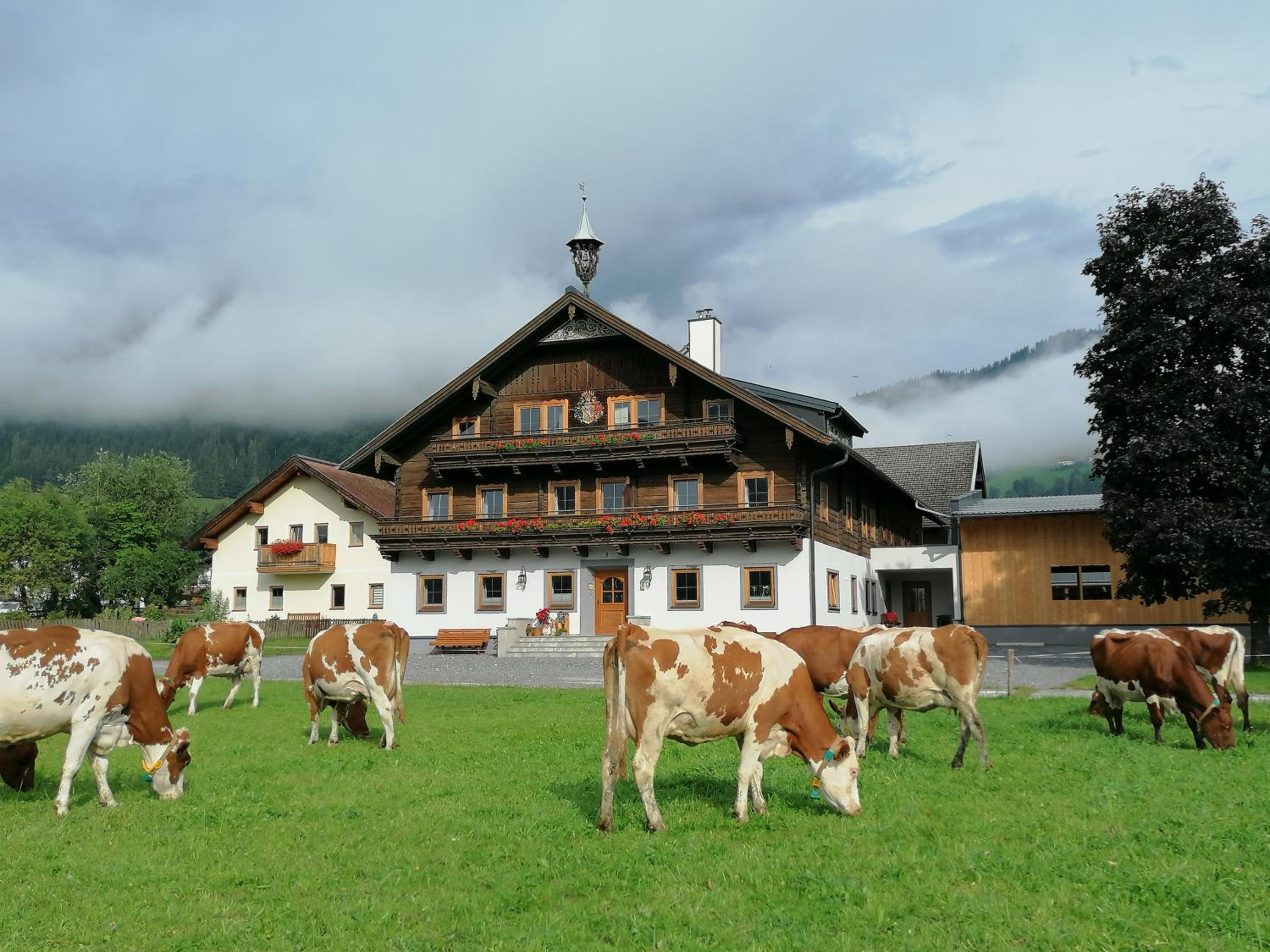 Schüttbachhof Appartements