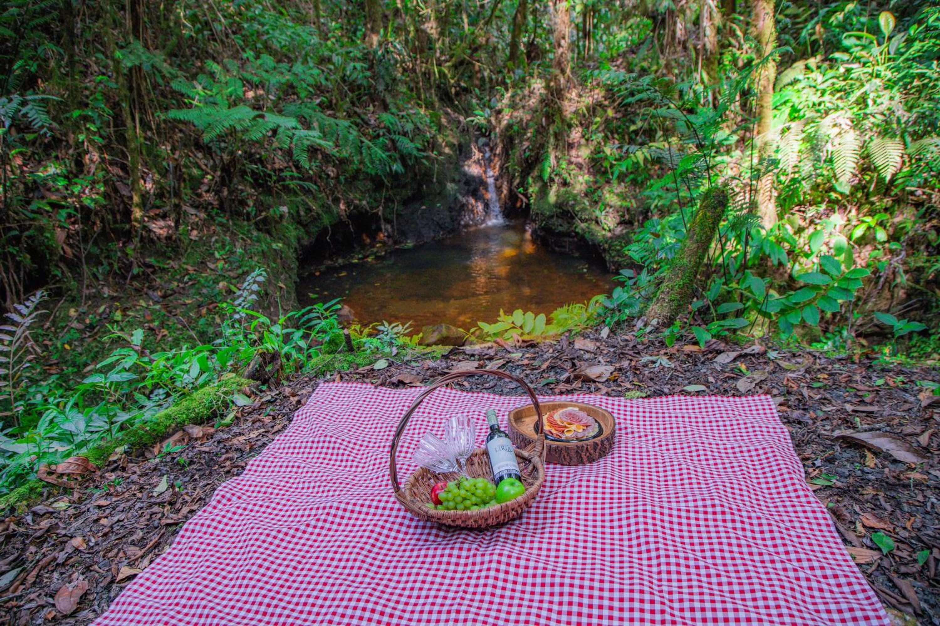 Boskoso Forest Retreat Jacuzzi & Waterfall