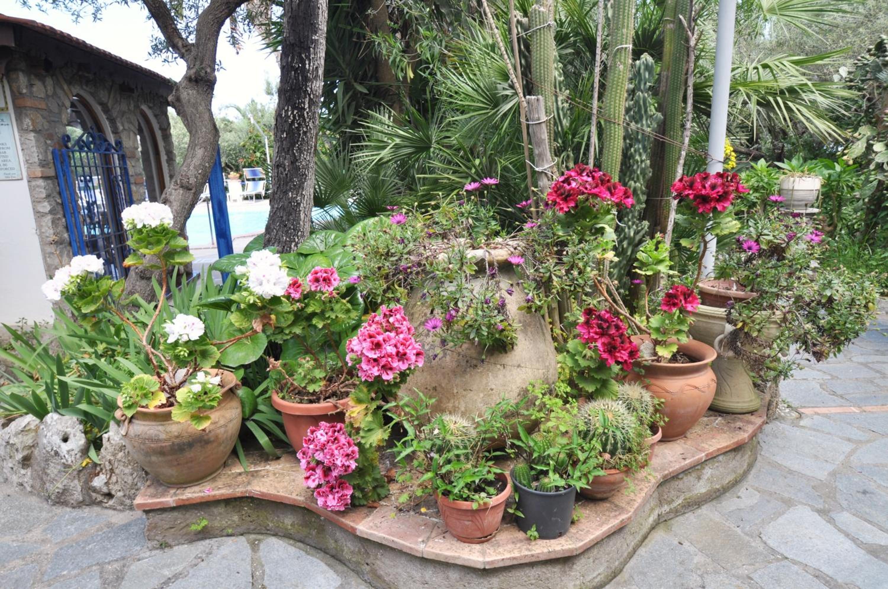 garden