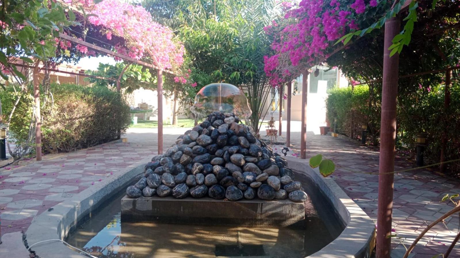 Al Bayan Palms view 4