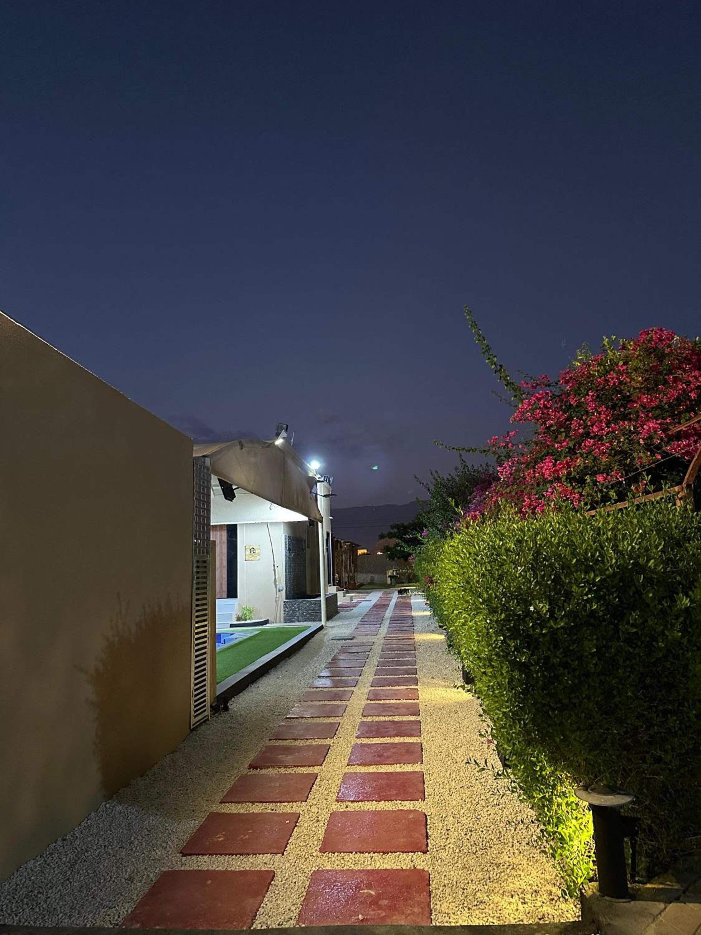 Al Bayan Palms view 5