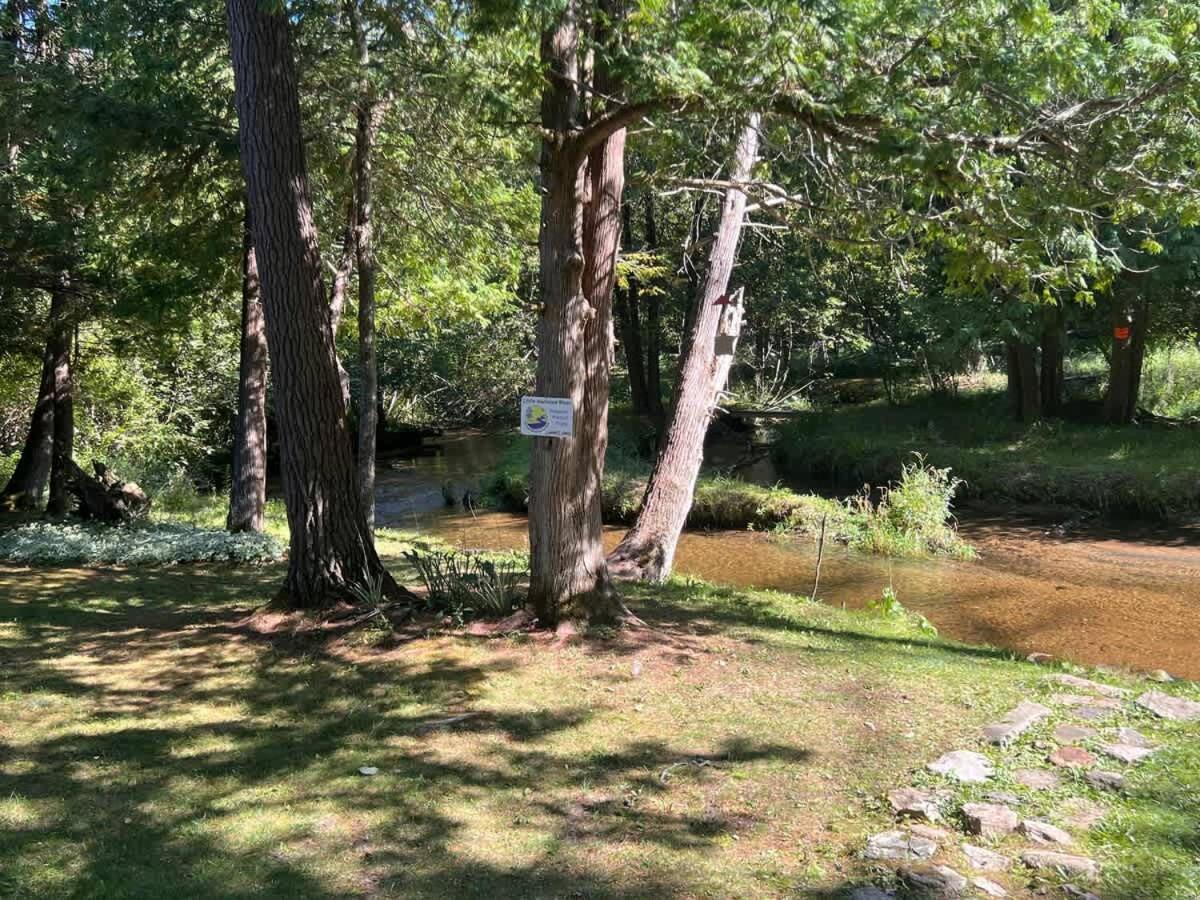 Photo 47