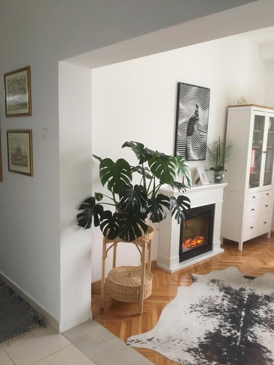 Boka view Heritage Apartment photo 3