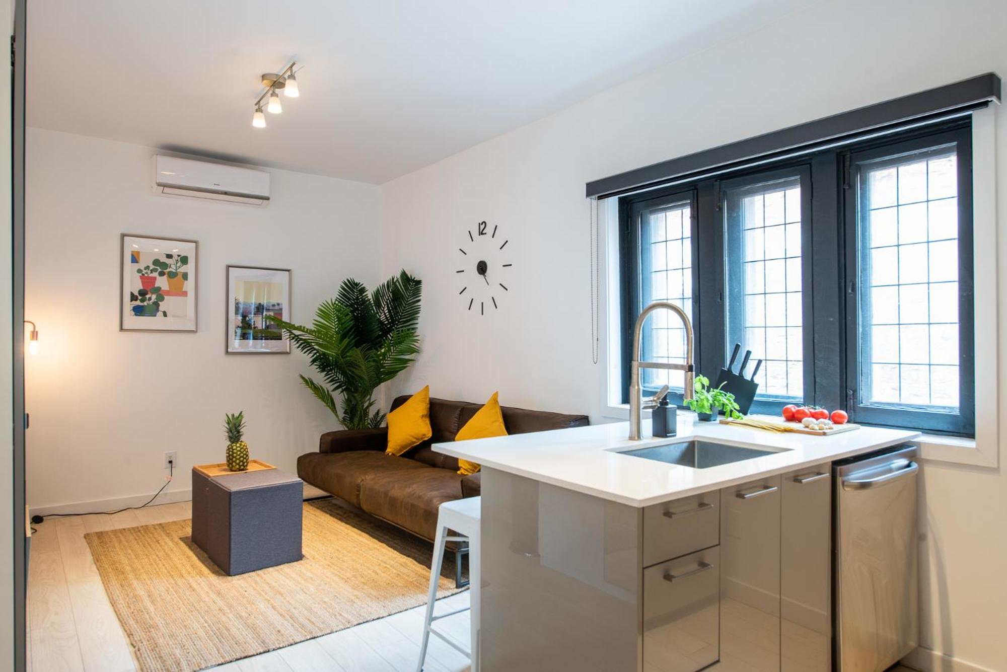 Castle Lofts Apartments