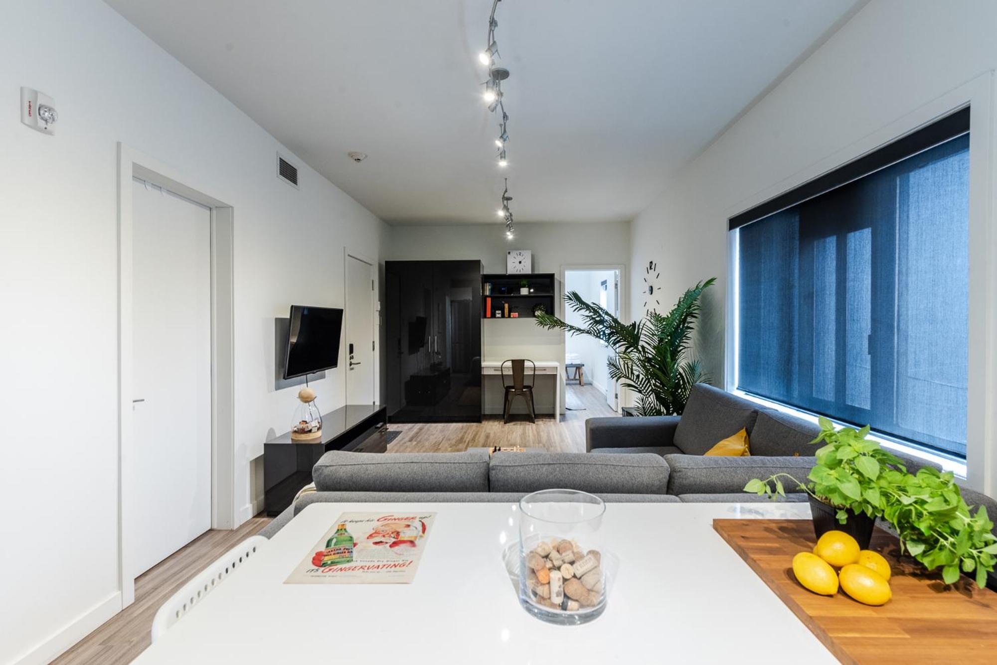 Castle Lofts Apartments