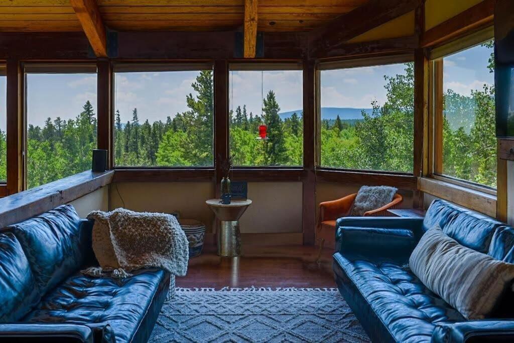 Fairplay Coyote Cabin