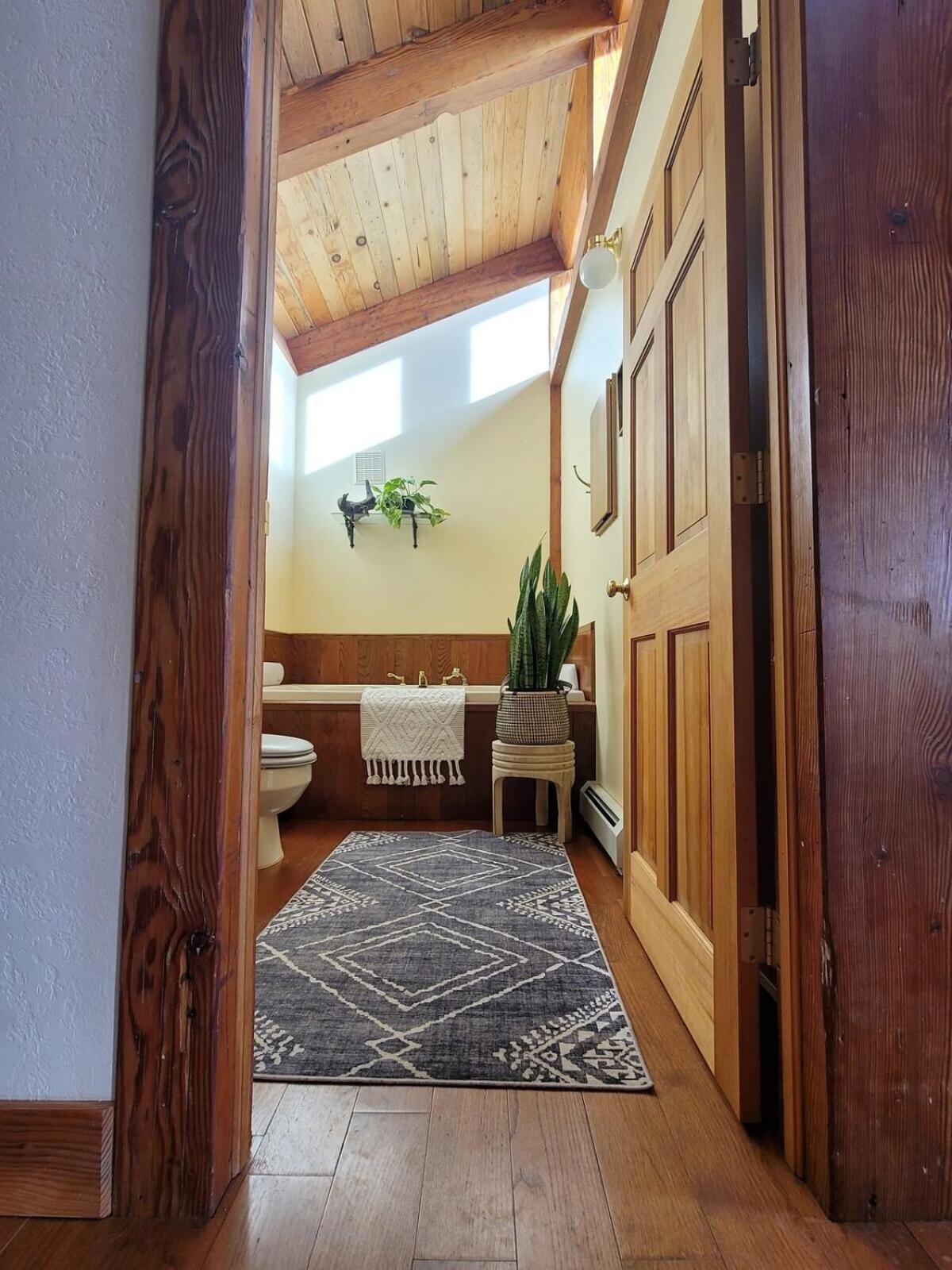 Fairplay Coyote Cabin
