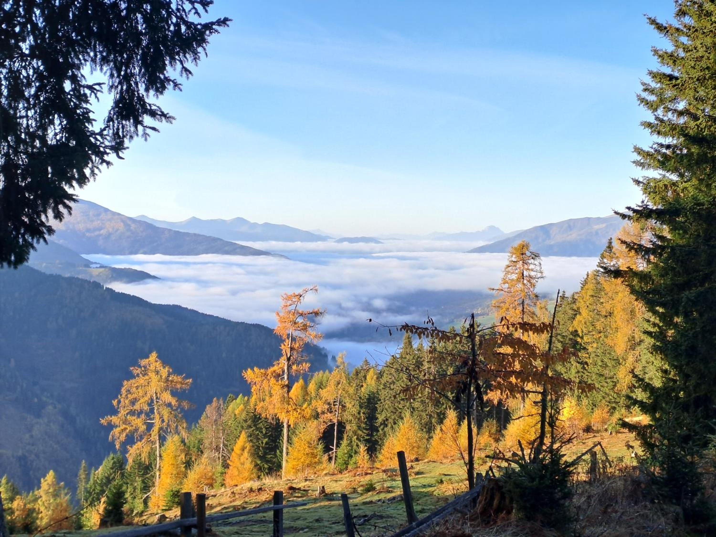 Landgut DIE AUSZEIT - Erholung am Berg 1300m