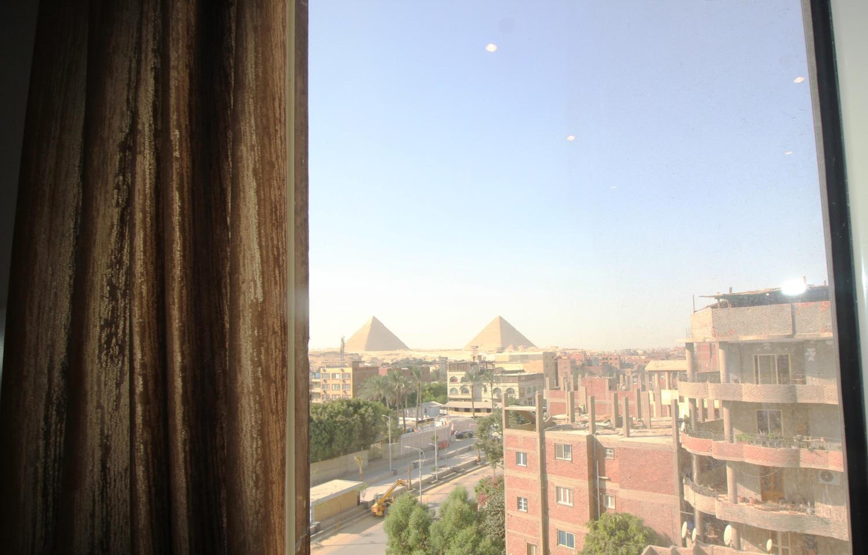 Sphinx Palm View