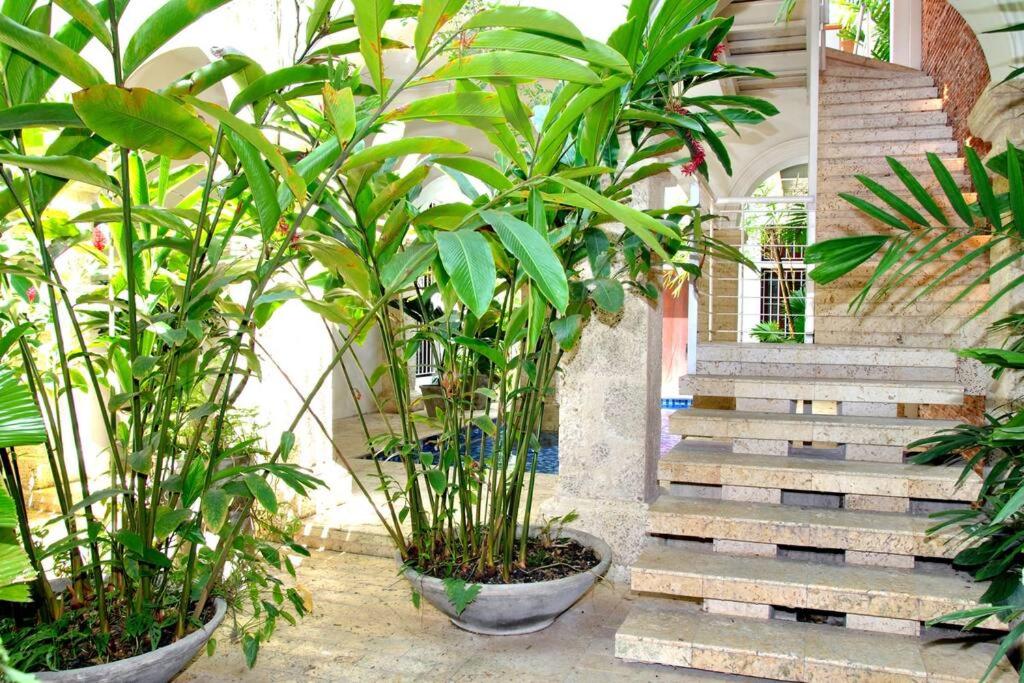 Charming 1BR apartment in the Heart of Cartagena's Old City