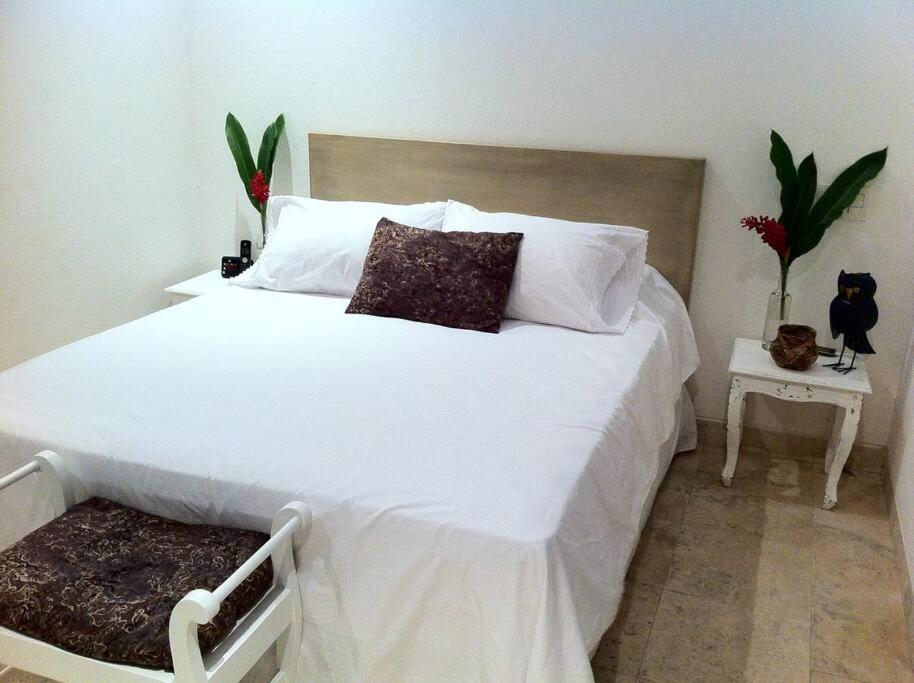 Charming 1BR apartment in the Heart of Cartagena's Old City