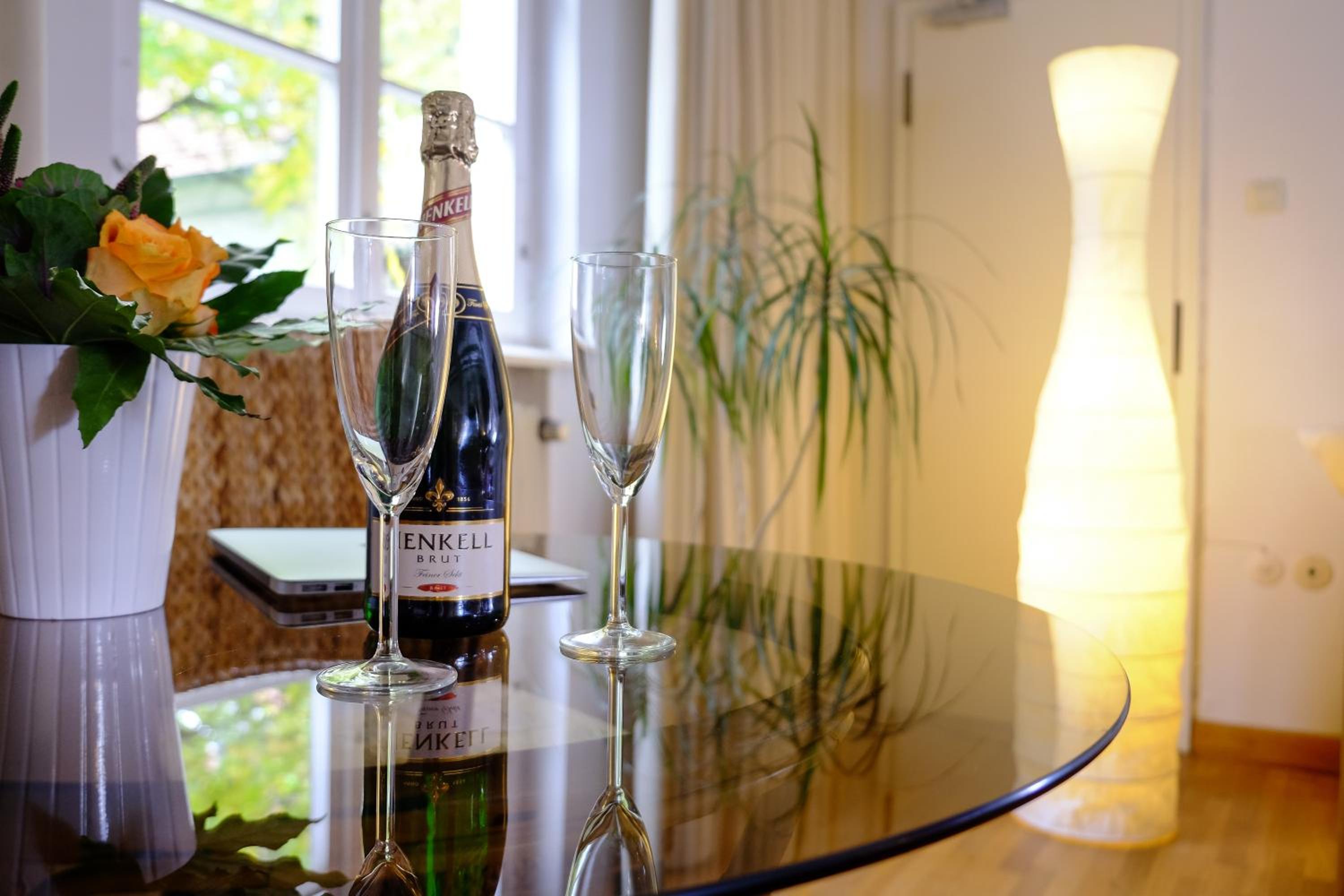 Rhein River Guesthouse - direkt am Rhein