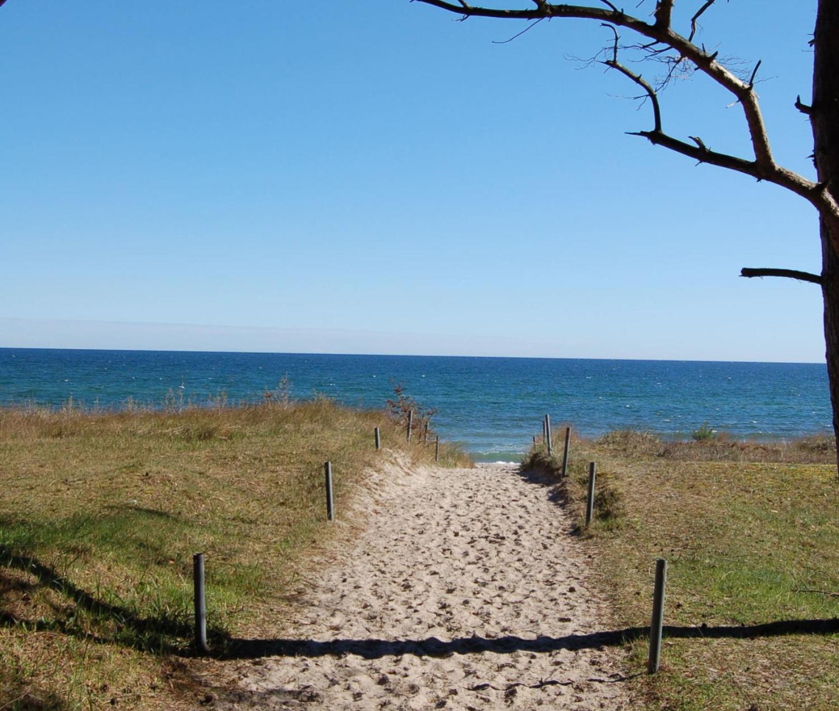 Boddenblick - Breege