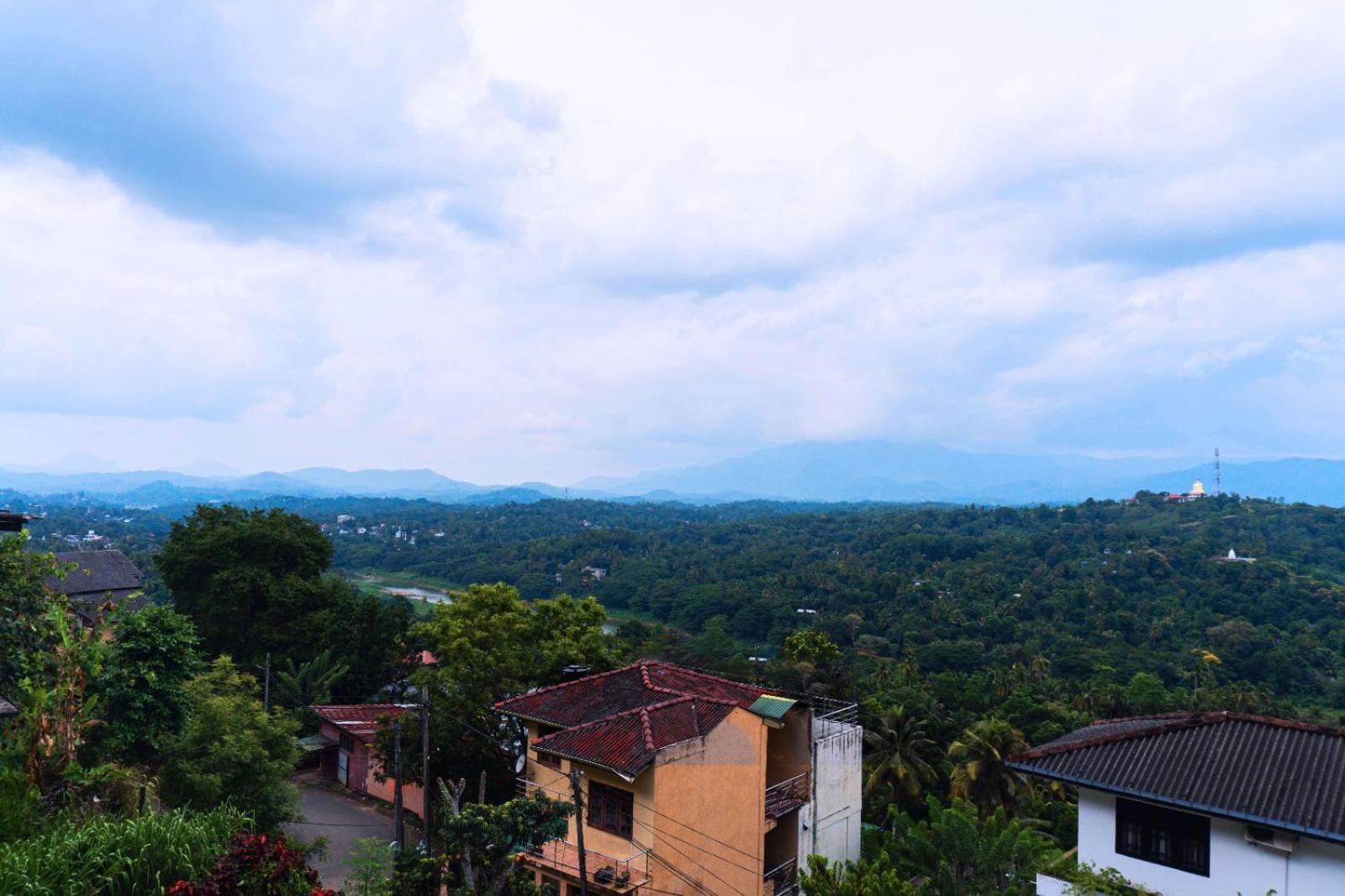 Avocado Retreat