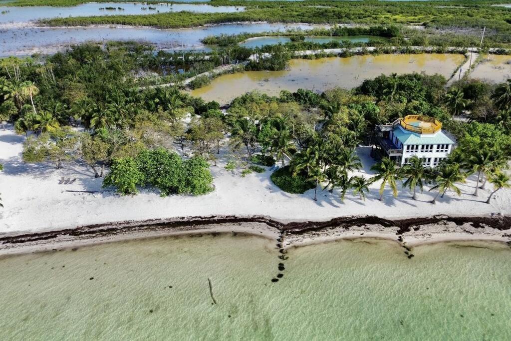Bungalows Beach Key West - Azucar view 4