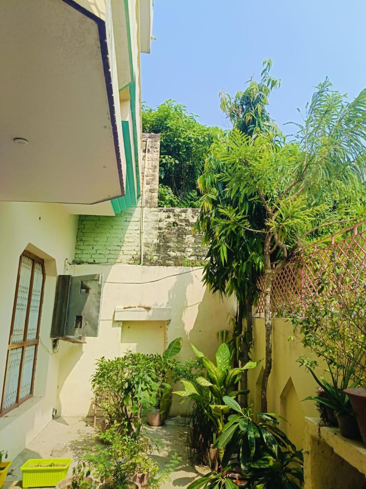 Agrawal stay home view 4