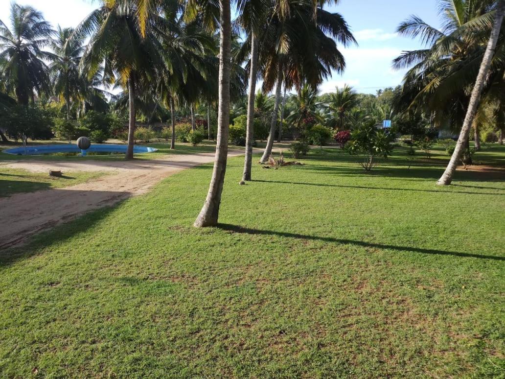 Coconut Grove Beach Cabanas view 3