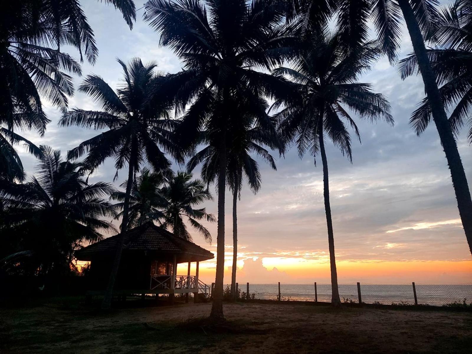 Coconut Grove Beach Cabanas view 5