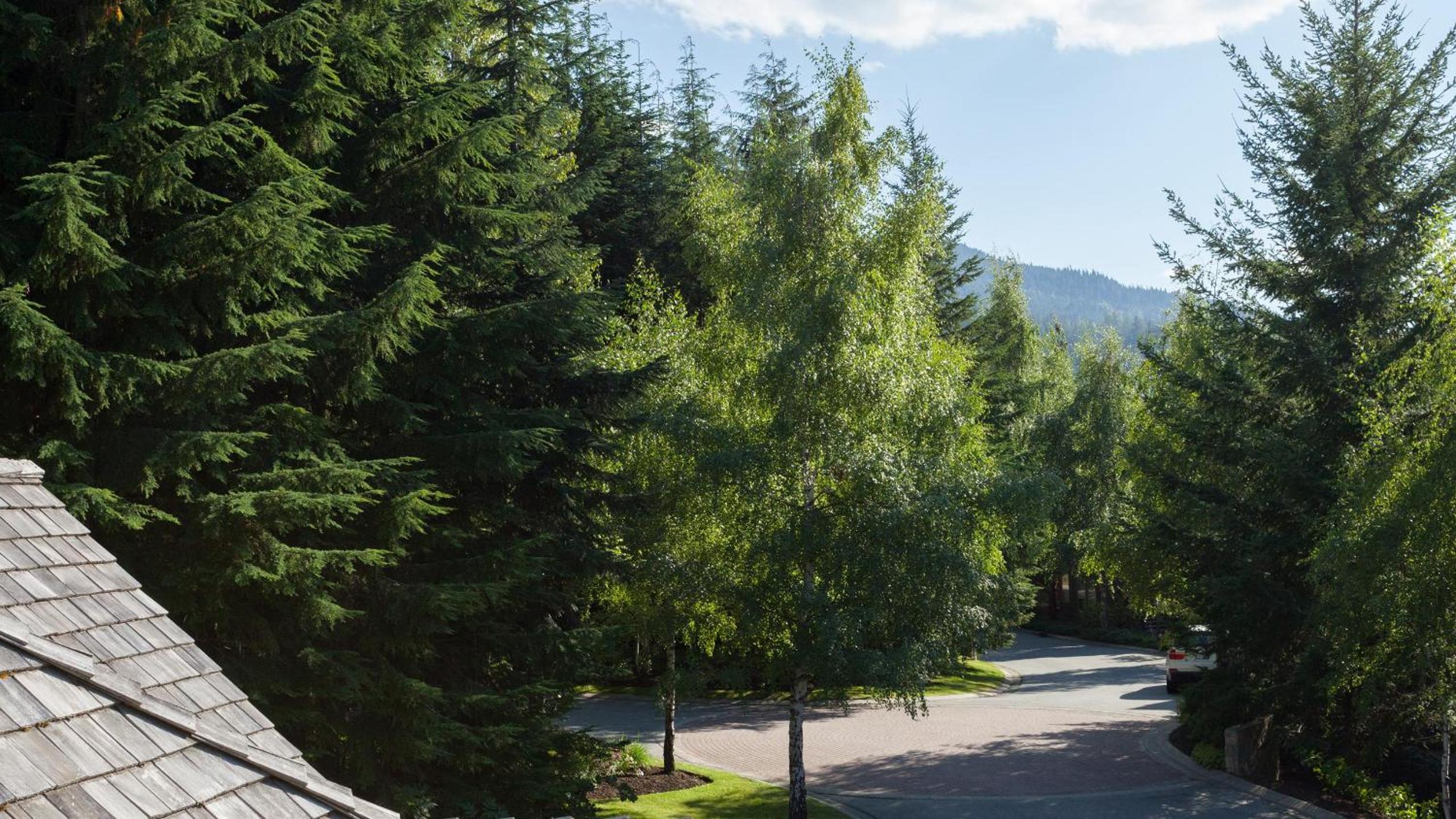 Painted Cliff 4 - Pet-Friendly, Ski-in-Ski-Out, Secure Parking, Communal Hot Tub