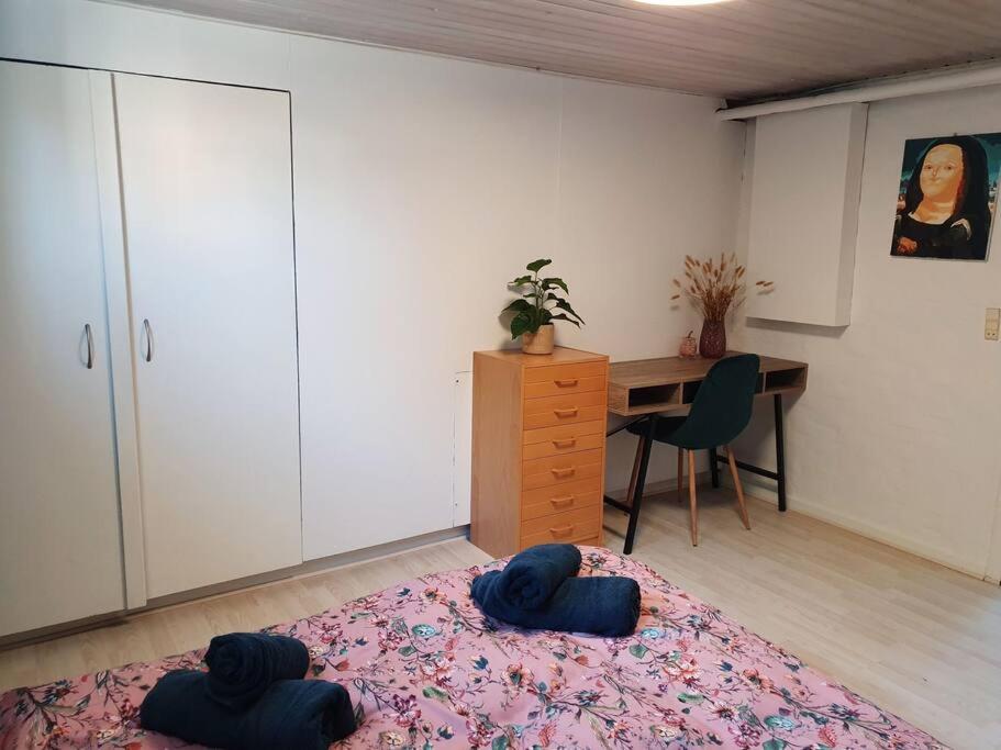 Cozy basement apartment in the center