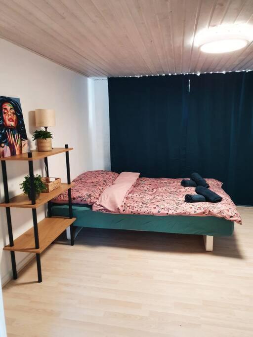 Cozy basement apartment in the center