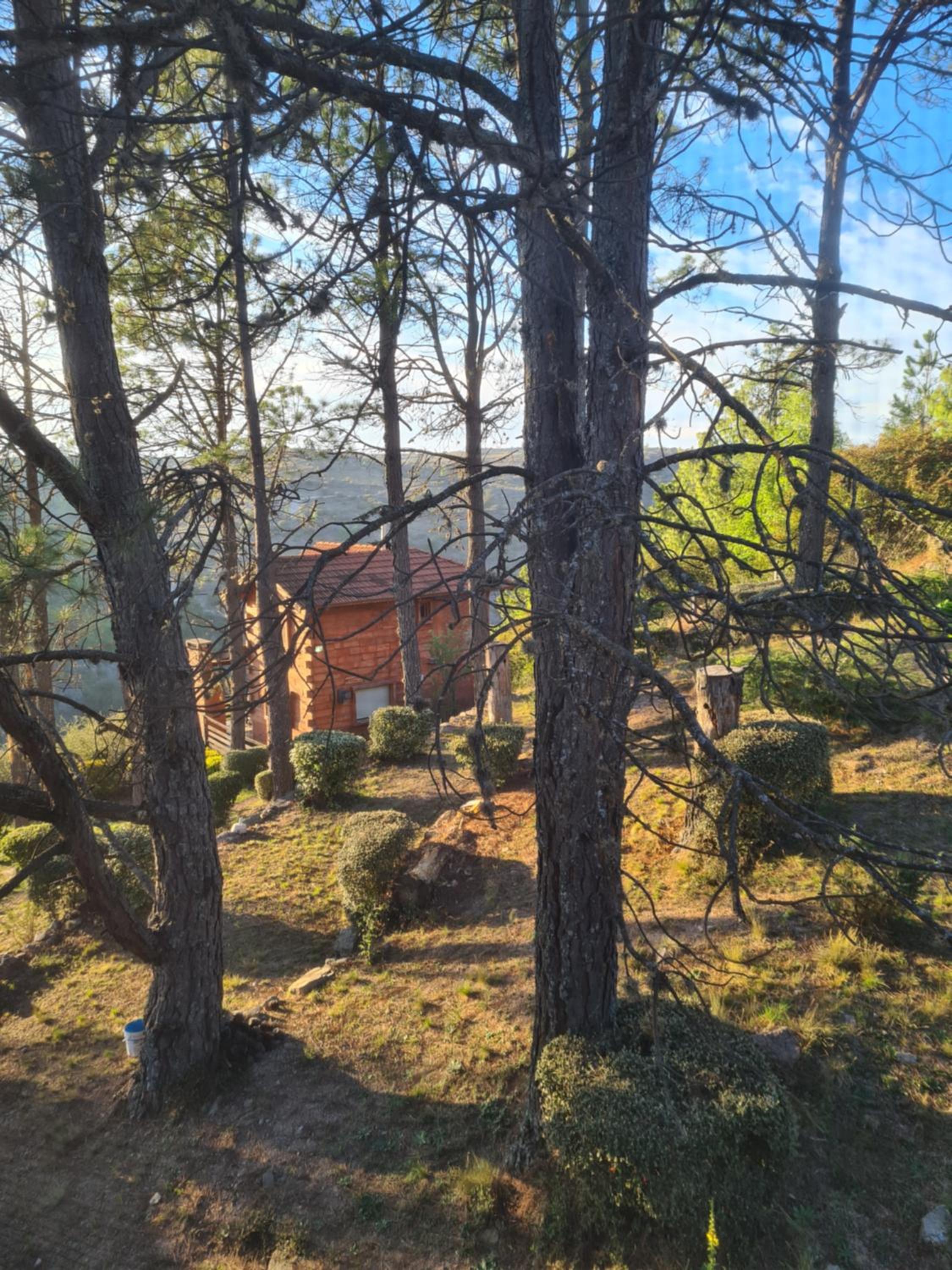 Cabañas del Peñón