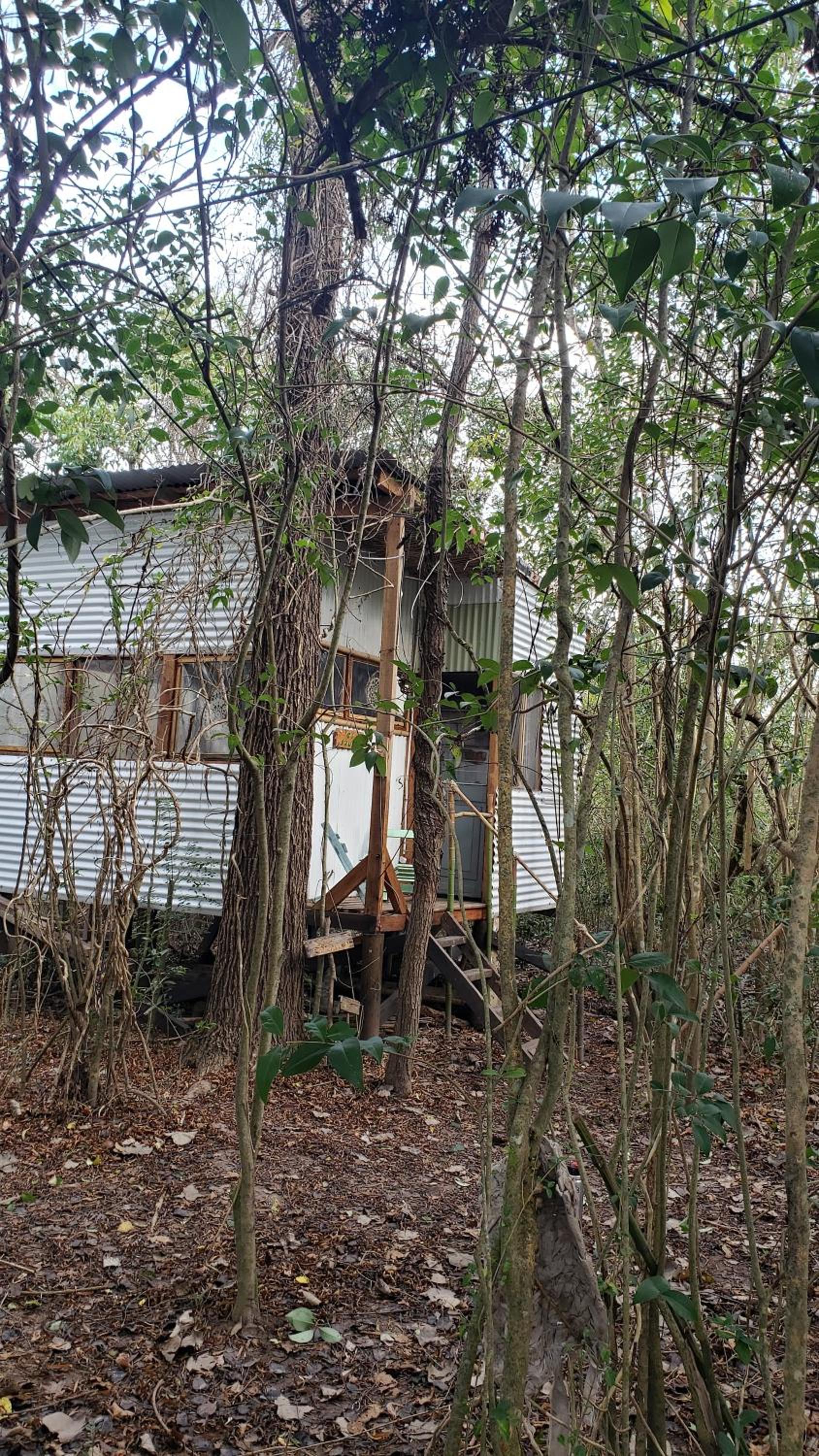 Espacio Las Abejas Cabaña El Sauce Refugio isleño