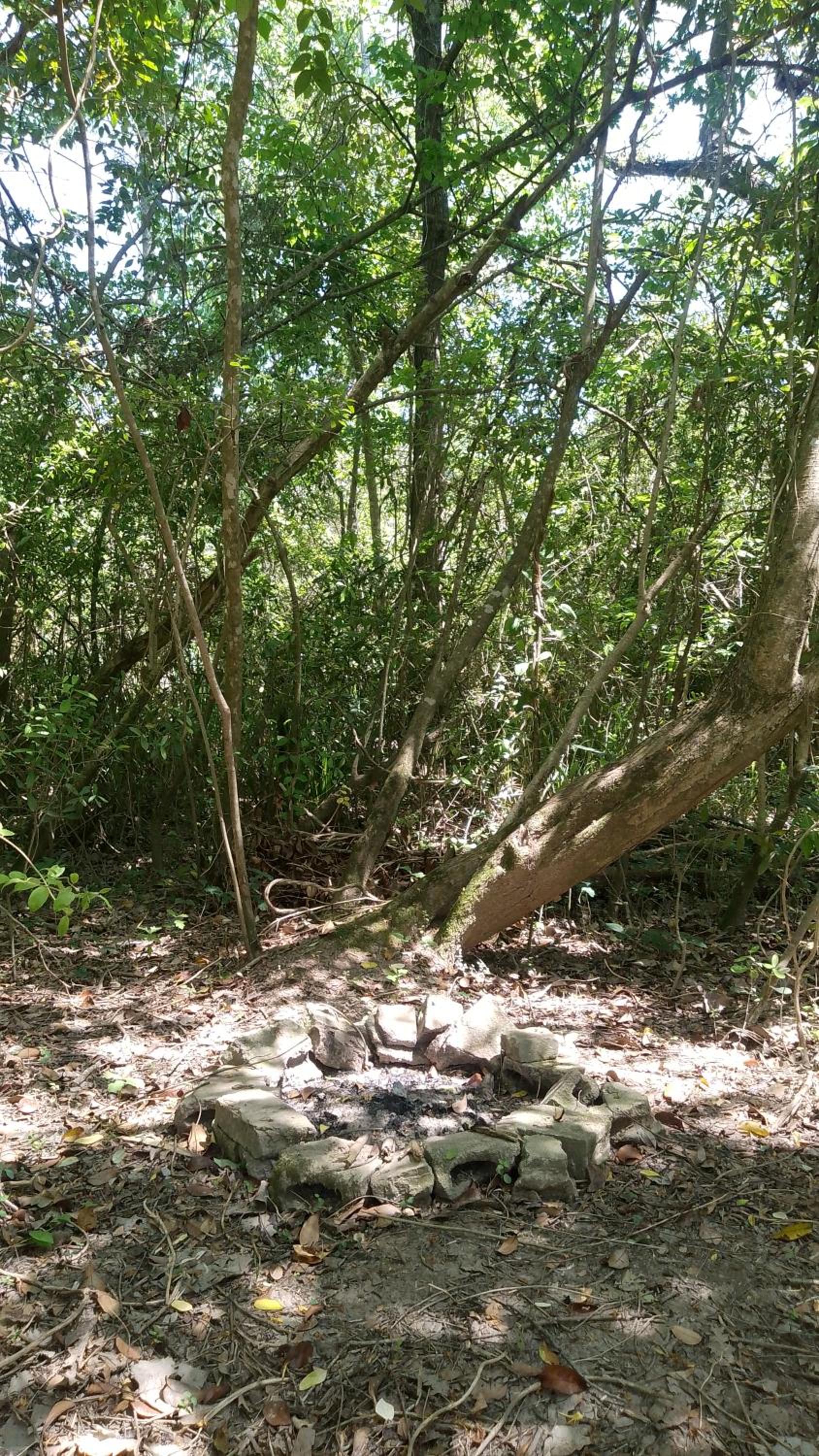 Espacio Las Abejas Cabaña El Sauce Refugio isleño