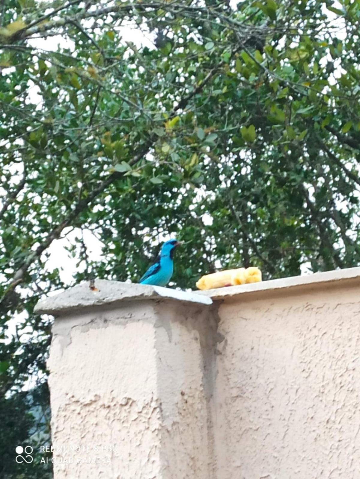 Casa completa em praia própria para banho Mariscal