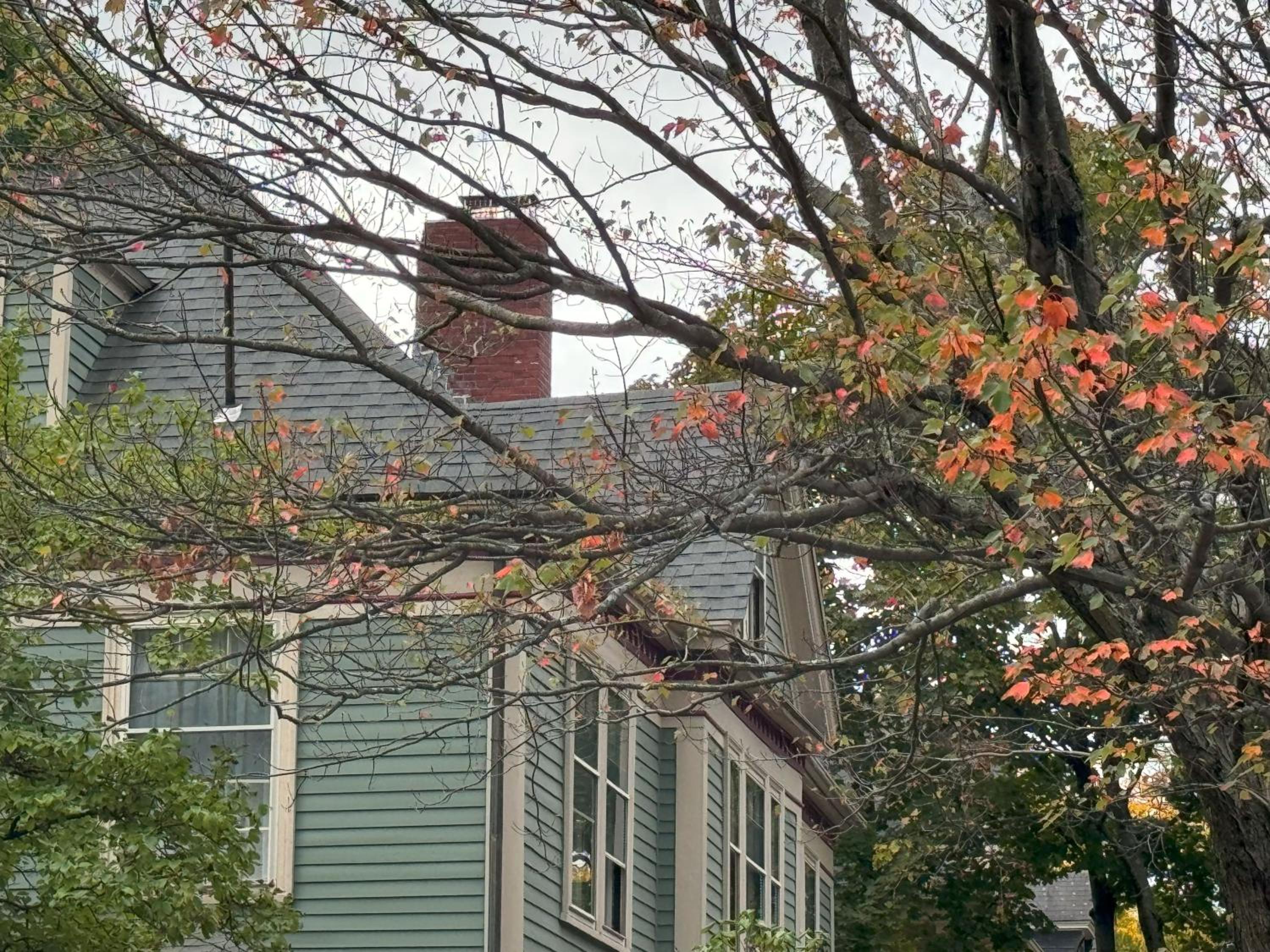 Harvard Rooms - 2BR Retreat adjacent to university