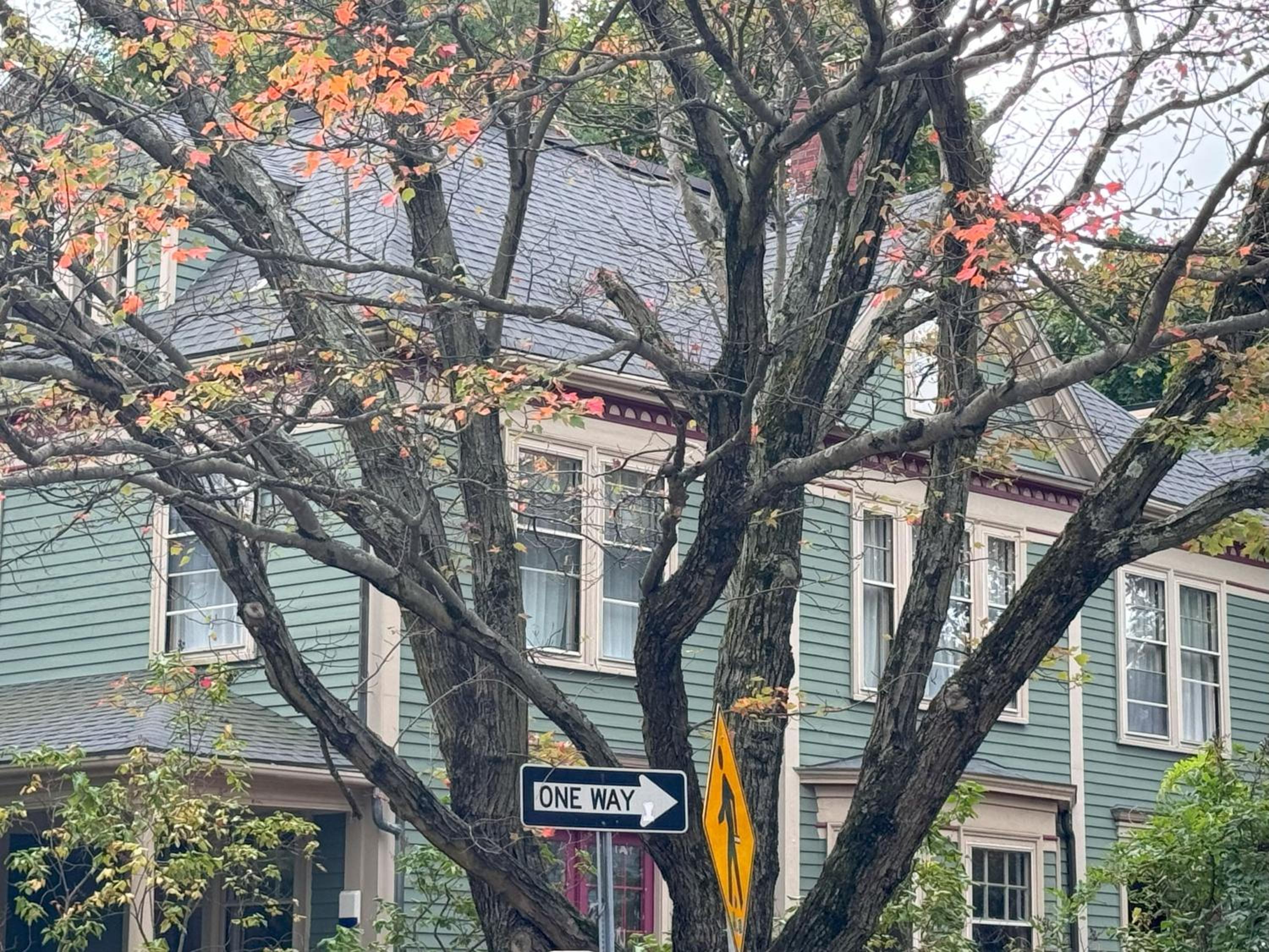 Harvard Rooms - 2BR Retreat adjacent to university
