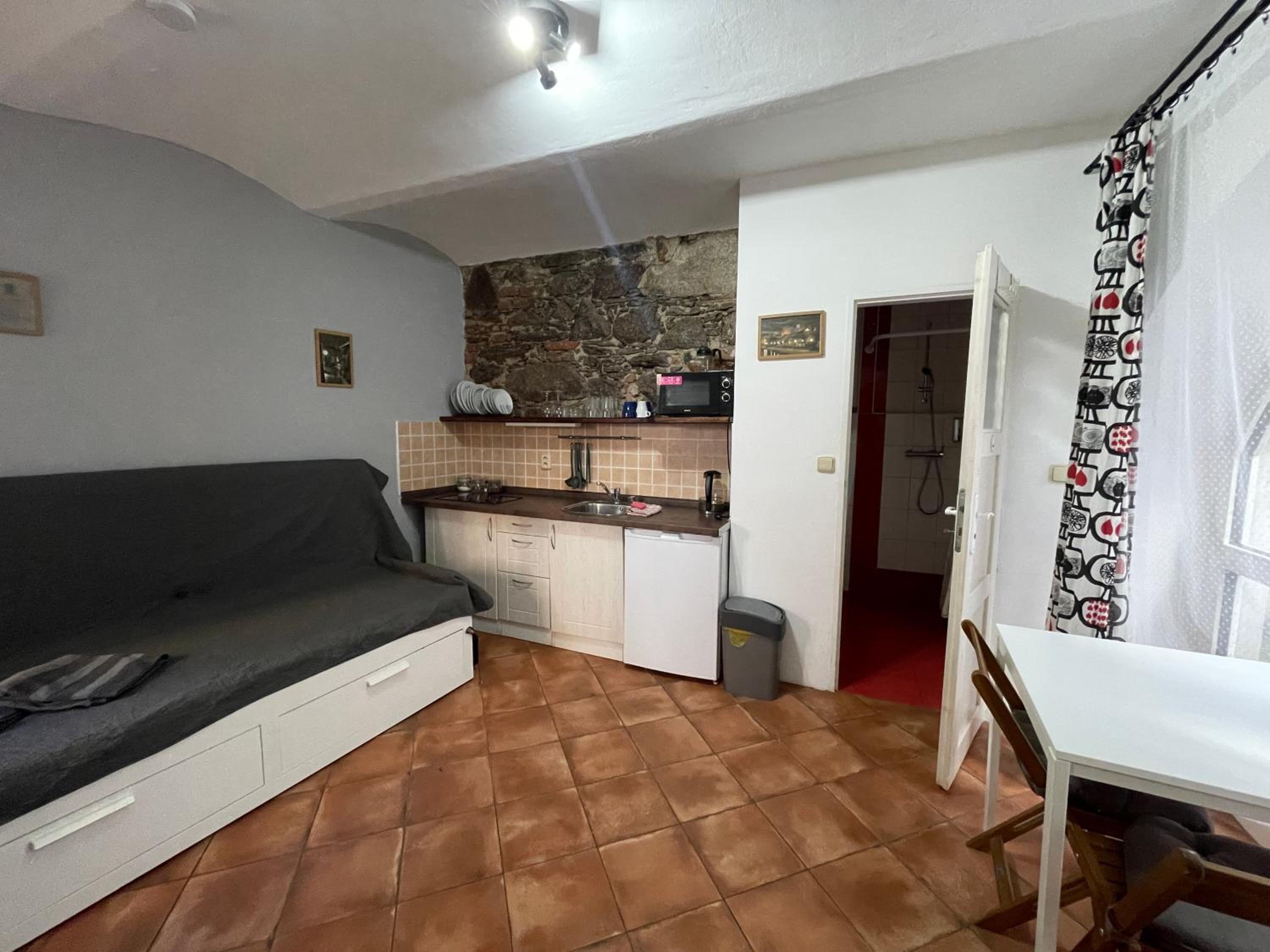 Apartmany u Synagogy