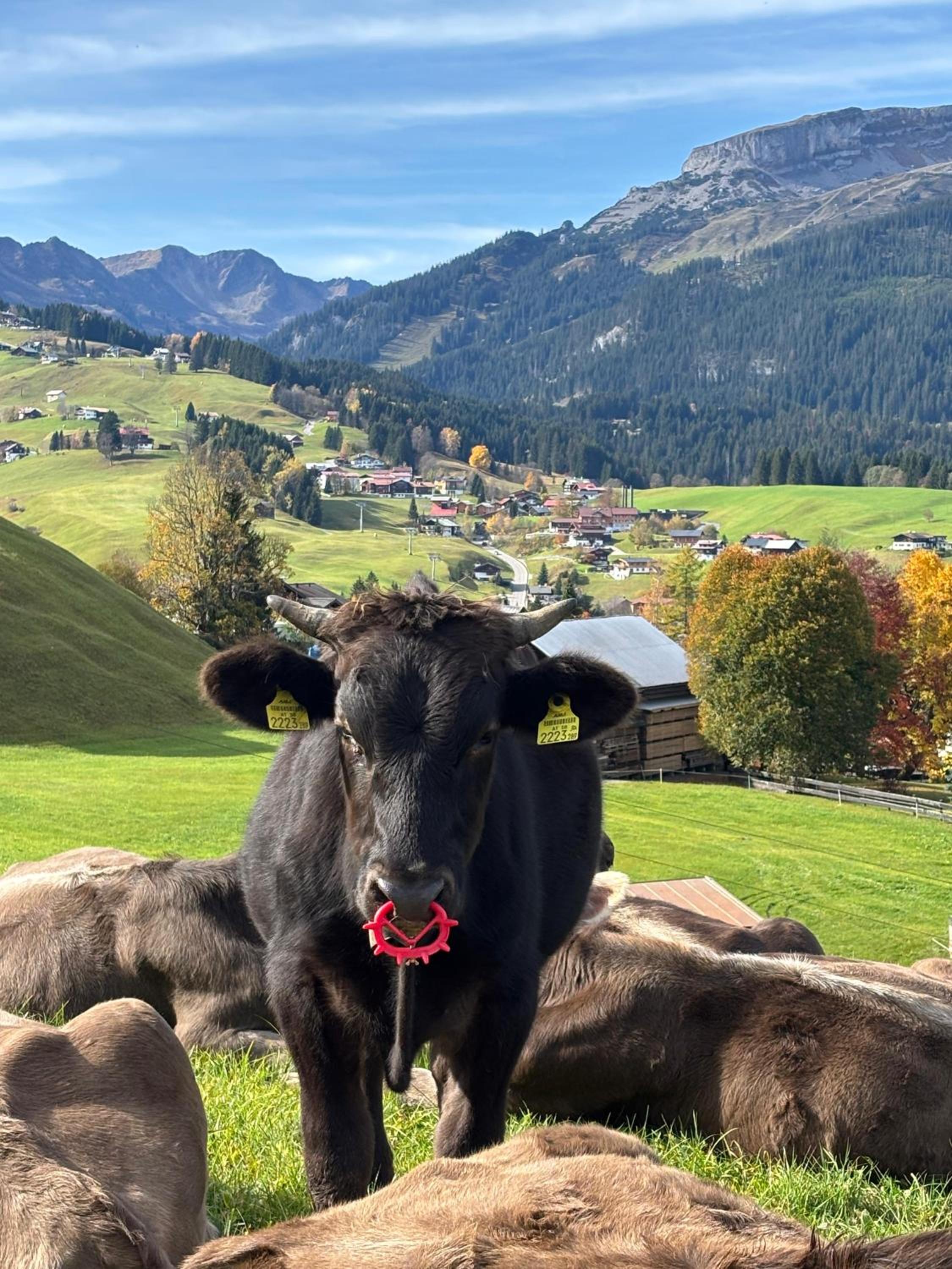 Riezler Höhe