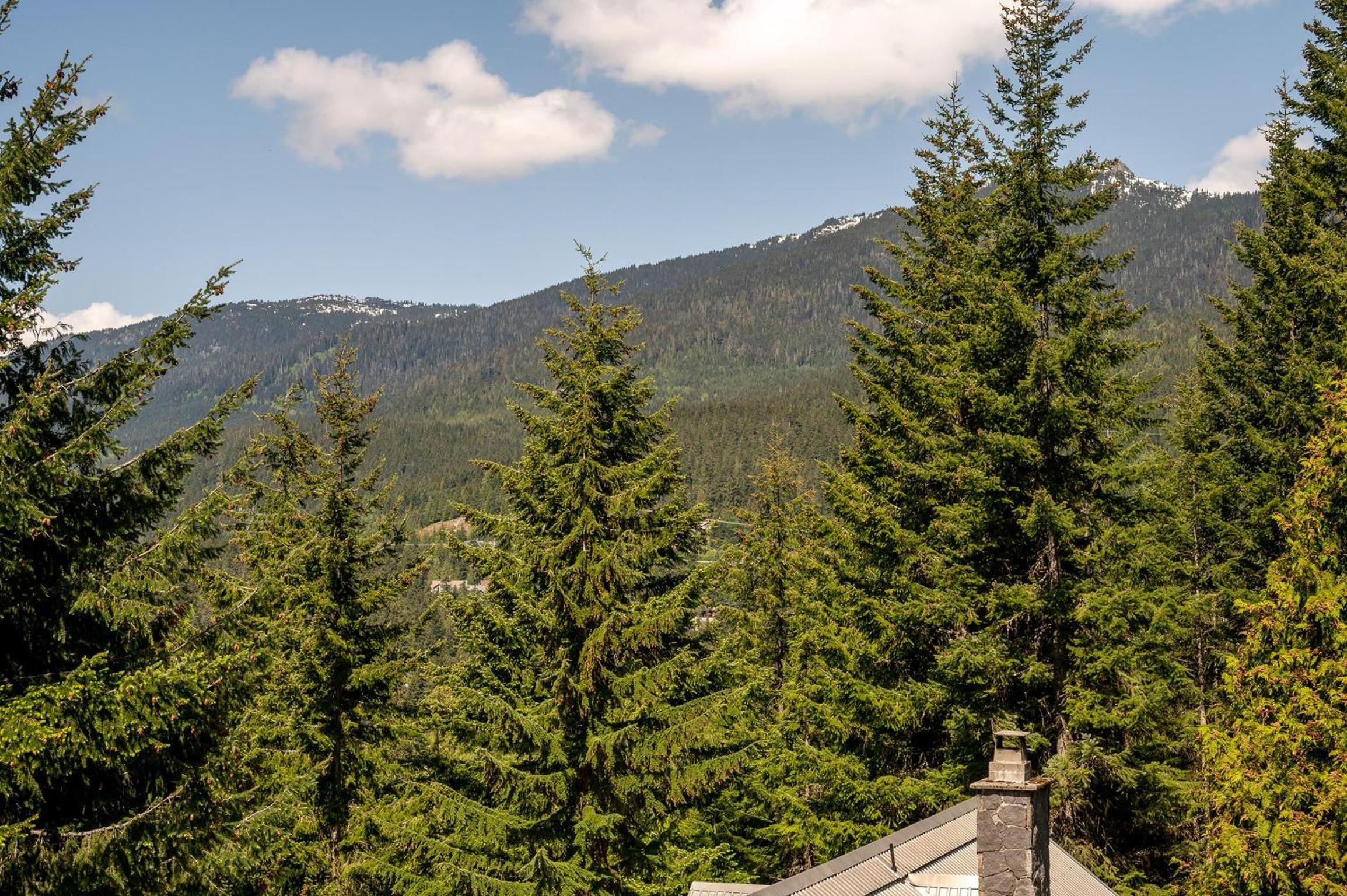 Snowridge Retreat - 150m to Ski Run, Hot Tub, Pool Table, Iconic Ski View