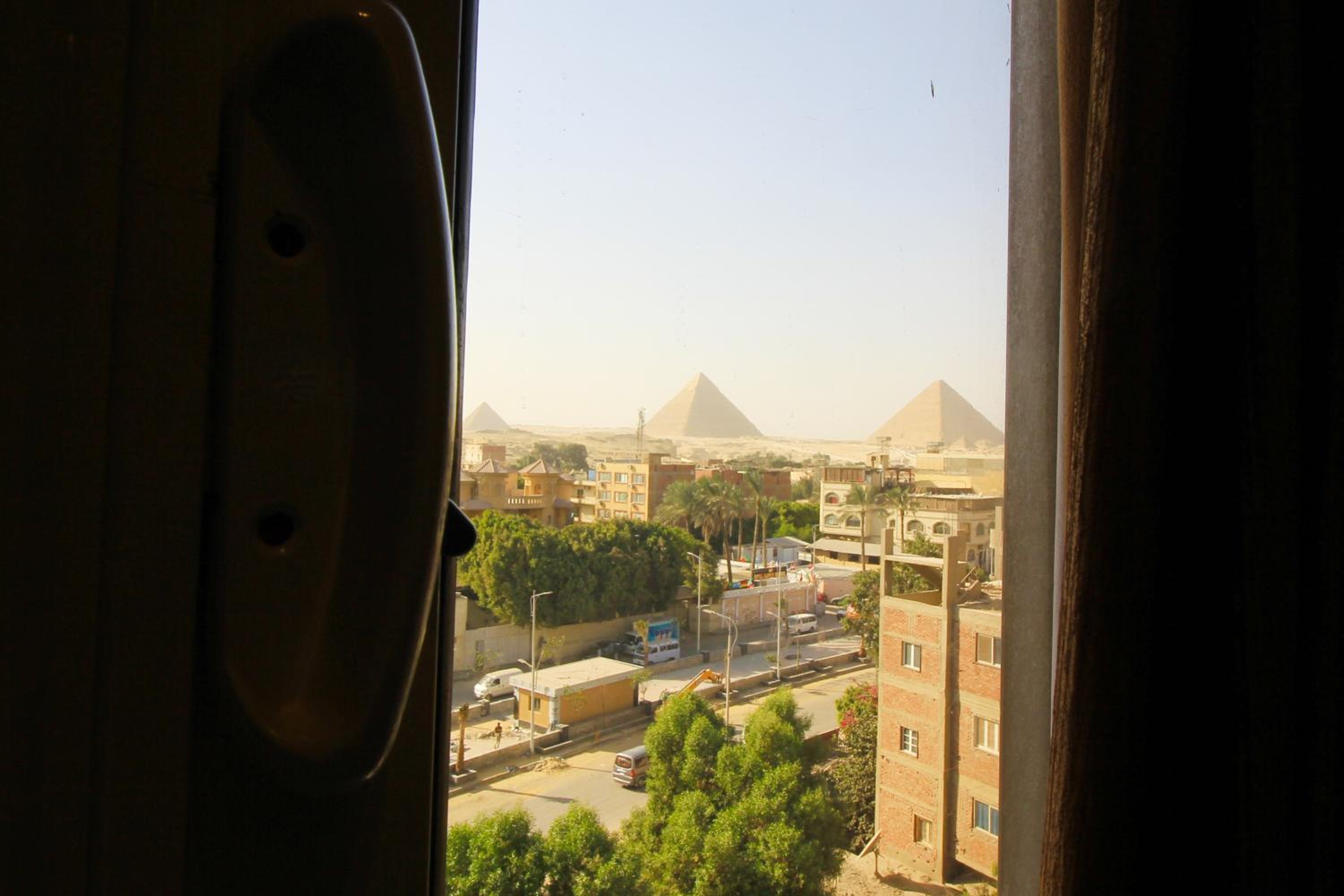 Sphinx Palm View