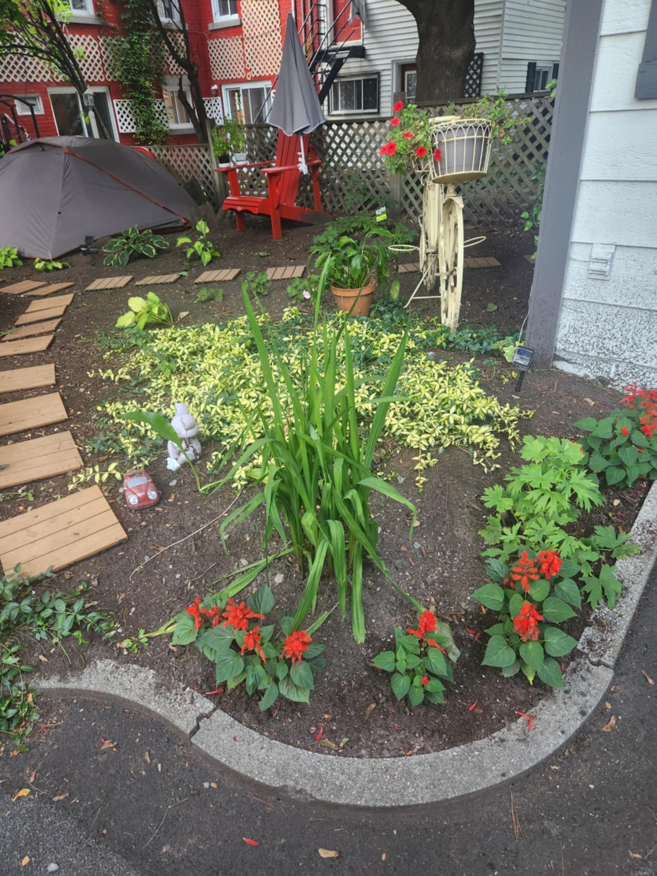 Guesthouse Refuge du Poète Montreal-Longueuil