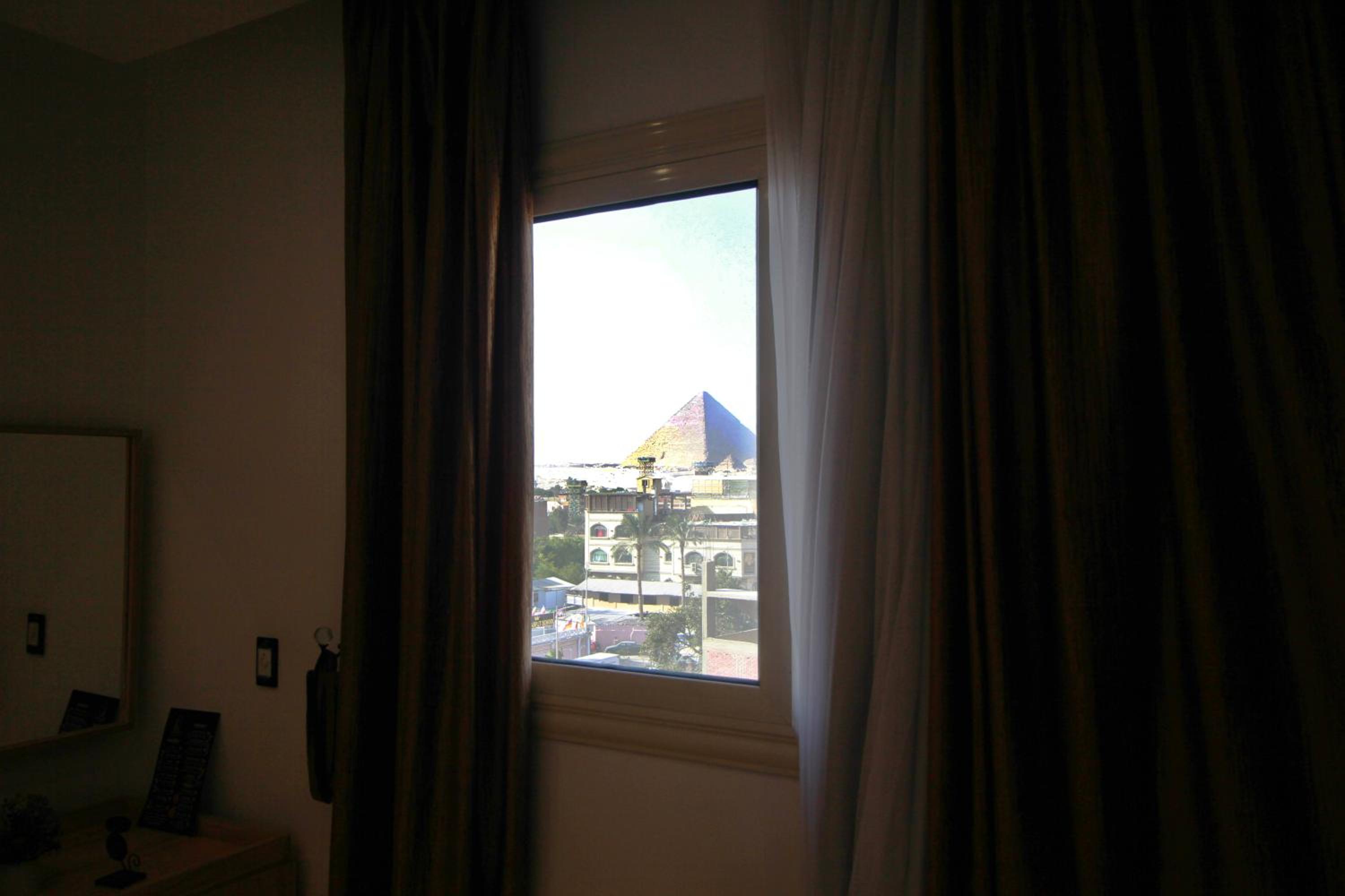Sphinx Palm View