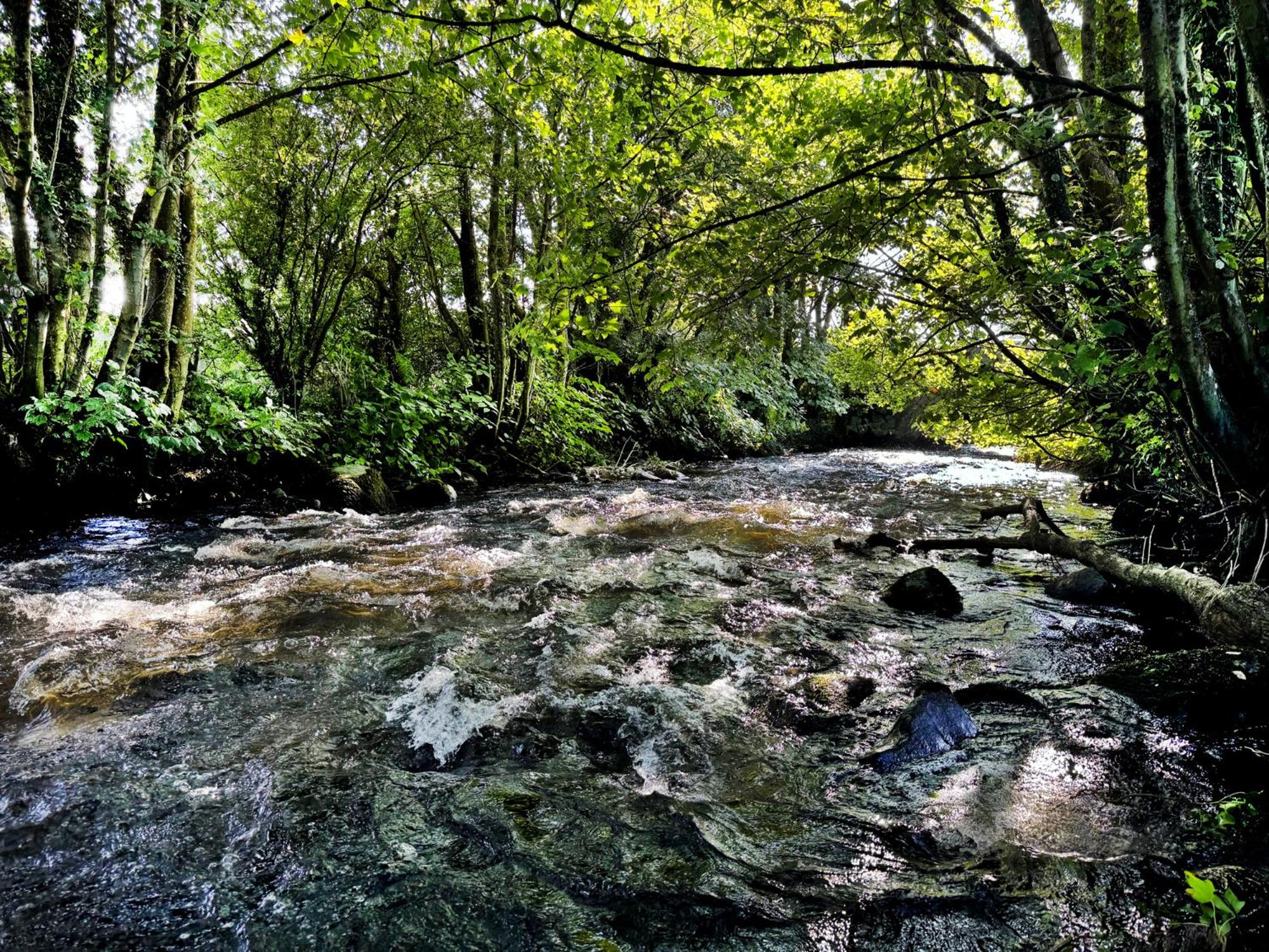 Penlan
